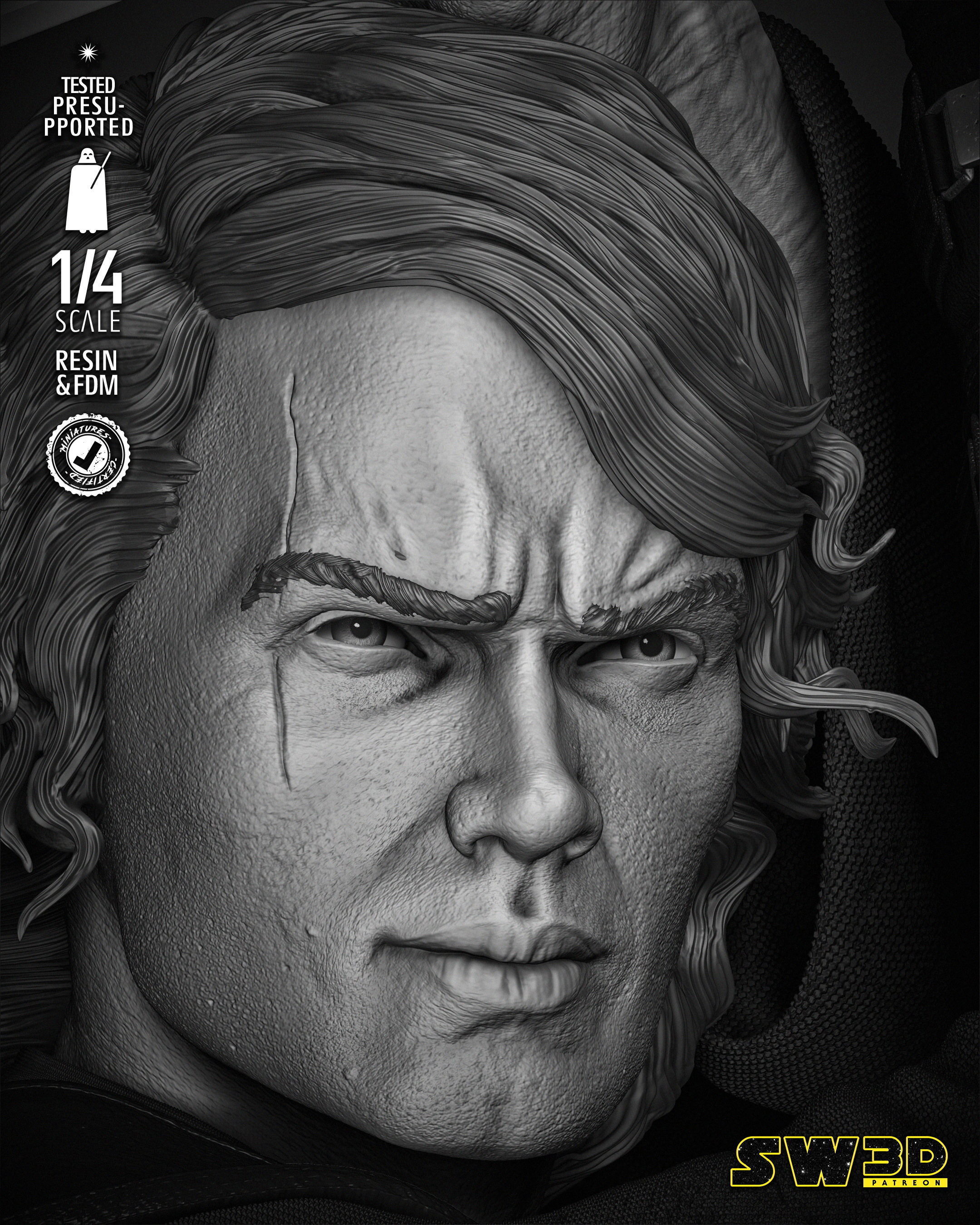 STAR WARS Anakin Bust  3D print model_15