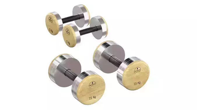 NOHrD DumbBells Weight  3D model