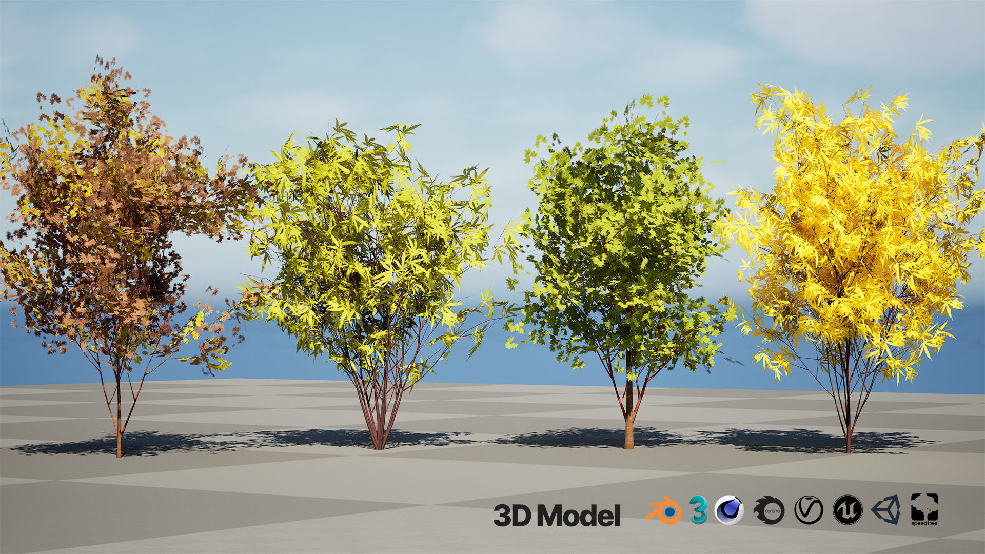Japanese Maple Tree Model Low-poly 3D model_2