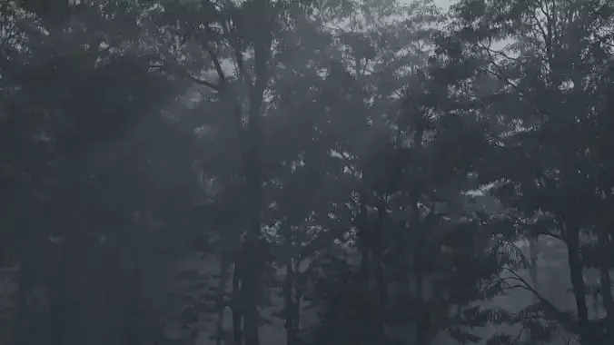 Forest Road With all the assets