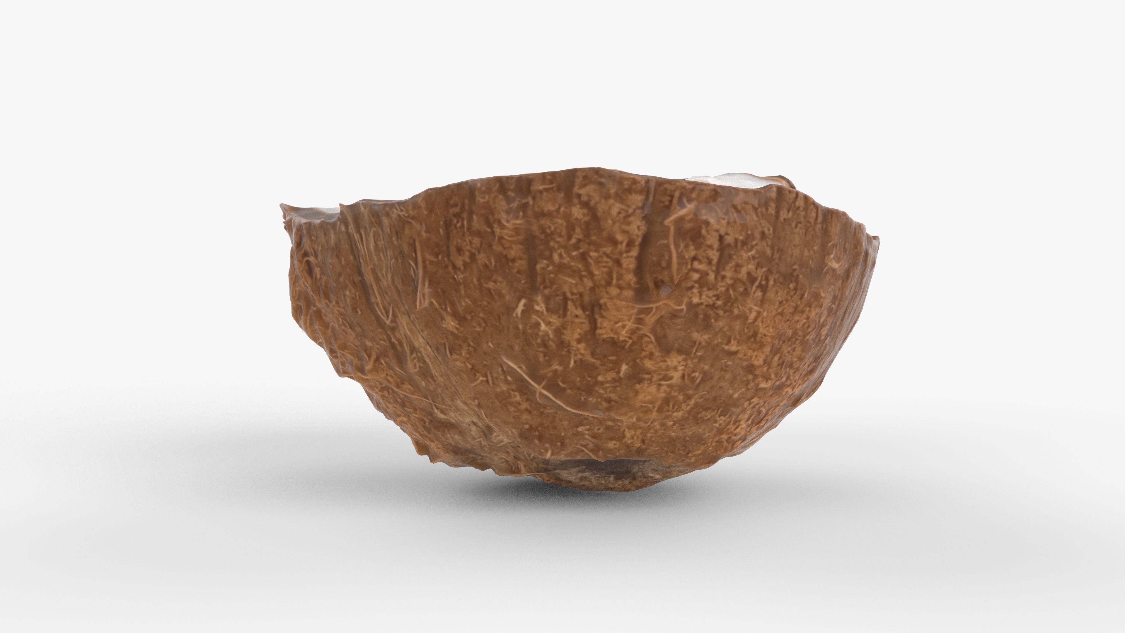 Photorealistic 3D scan of half a coconut Low-poly 3D model_13
