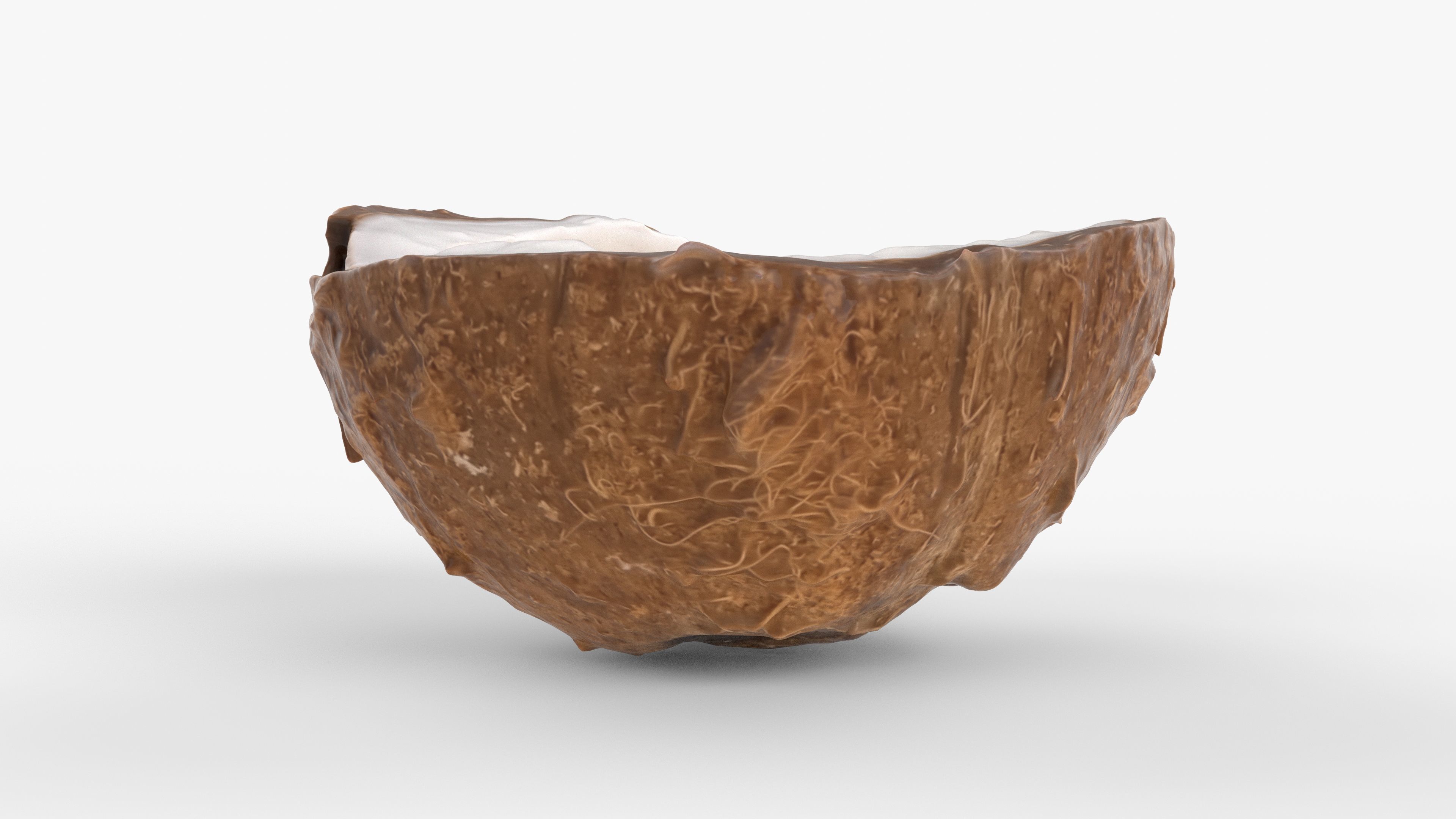 Photorealistic 3D scan of half a coconut Low-poly 3D model_6