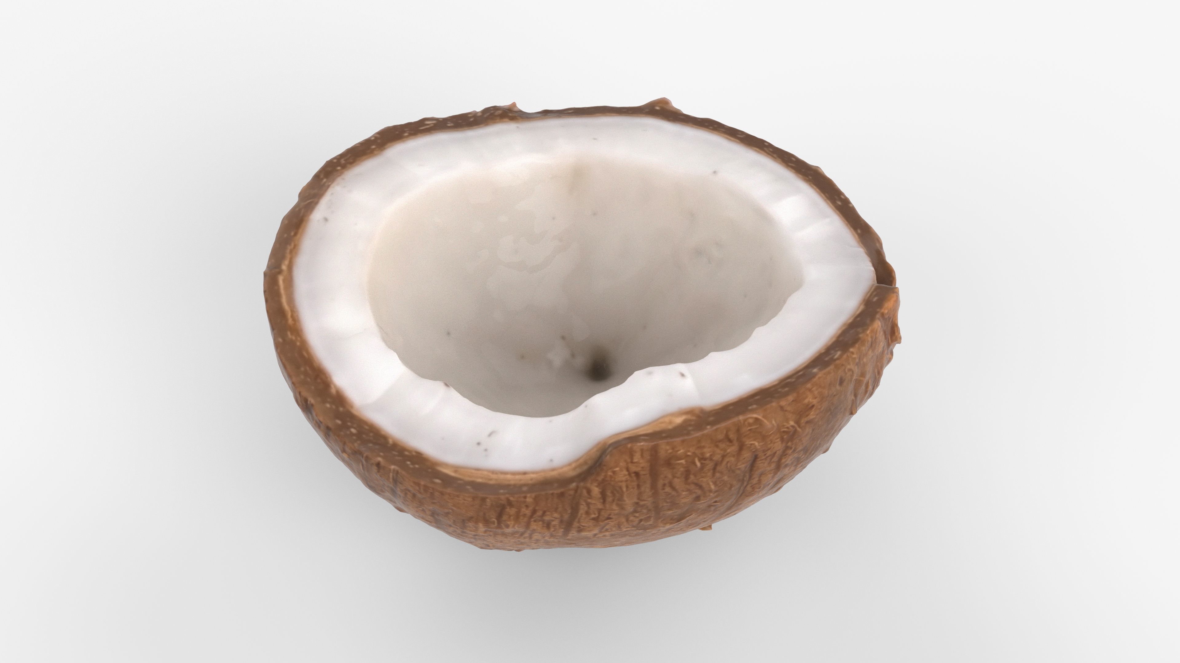 Photorealistic 3D scan of half a coconut Low-poly 3D model_11