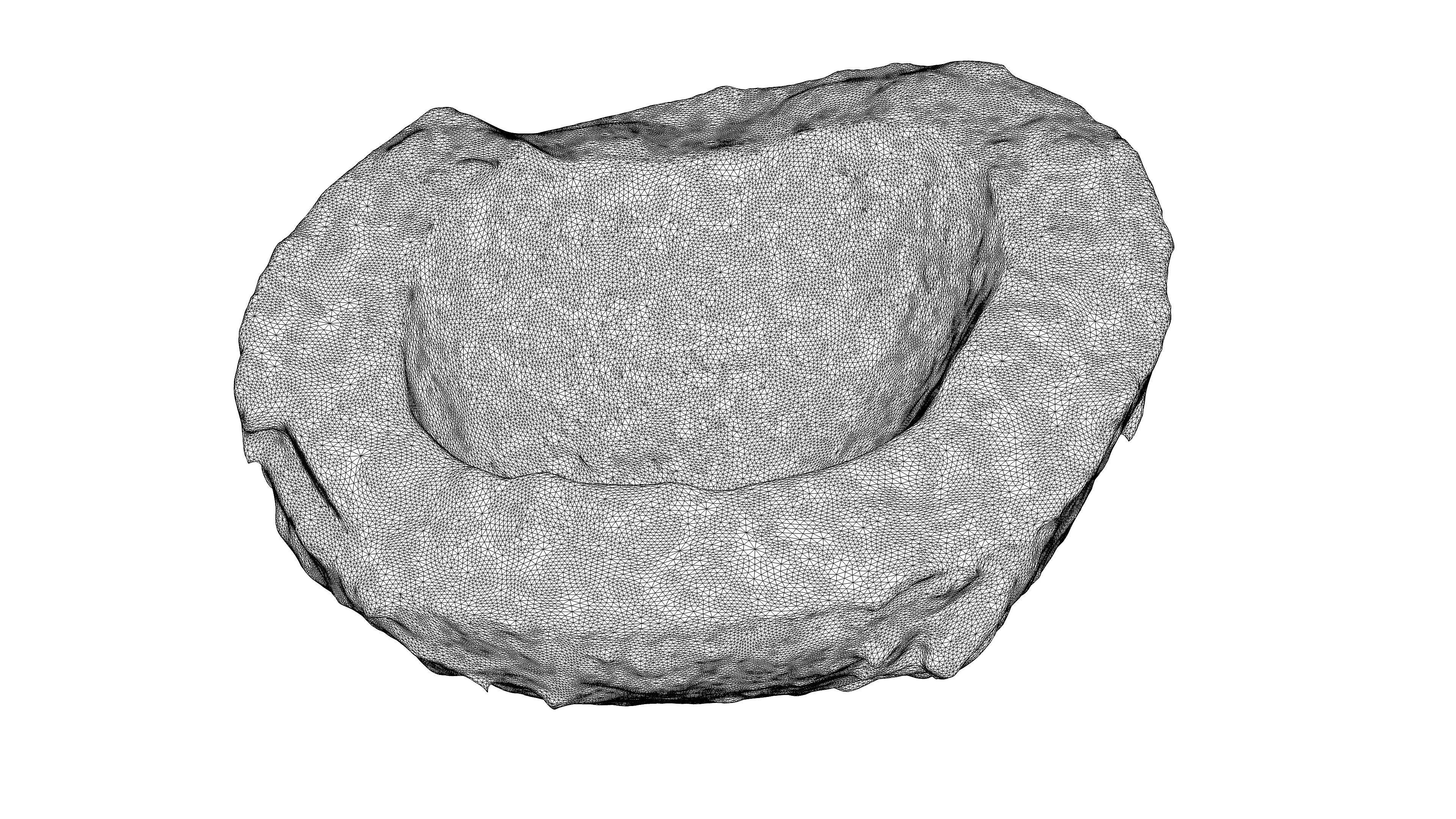 Photorealistic 3D scan of half a coconut Low-poly 3D model_22