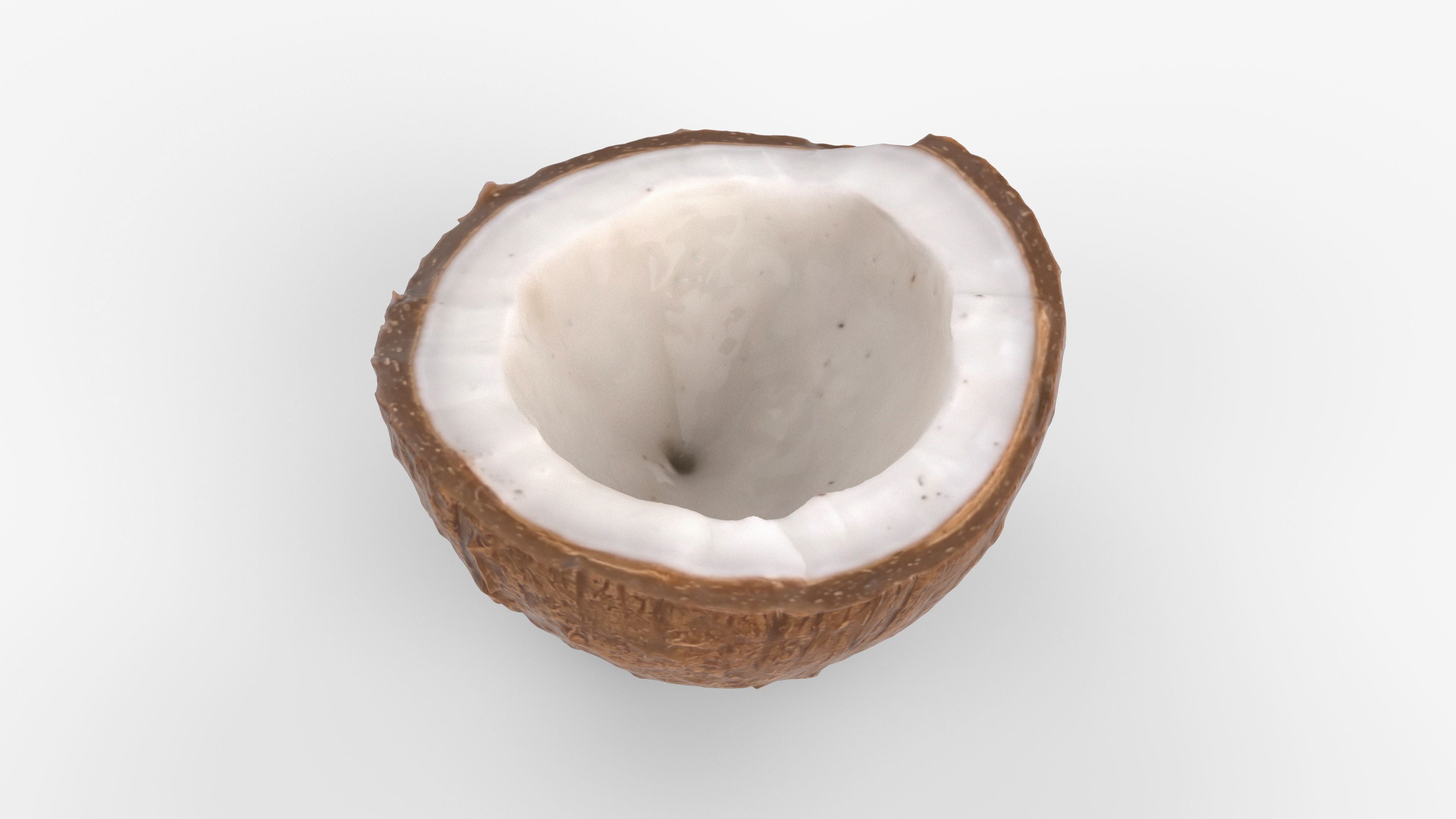 Photorealistic 3D scan of half a coconut Low-poly 3D model_5