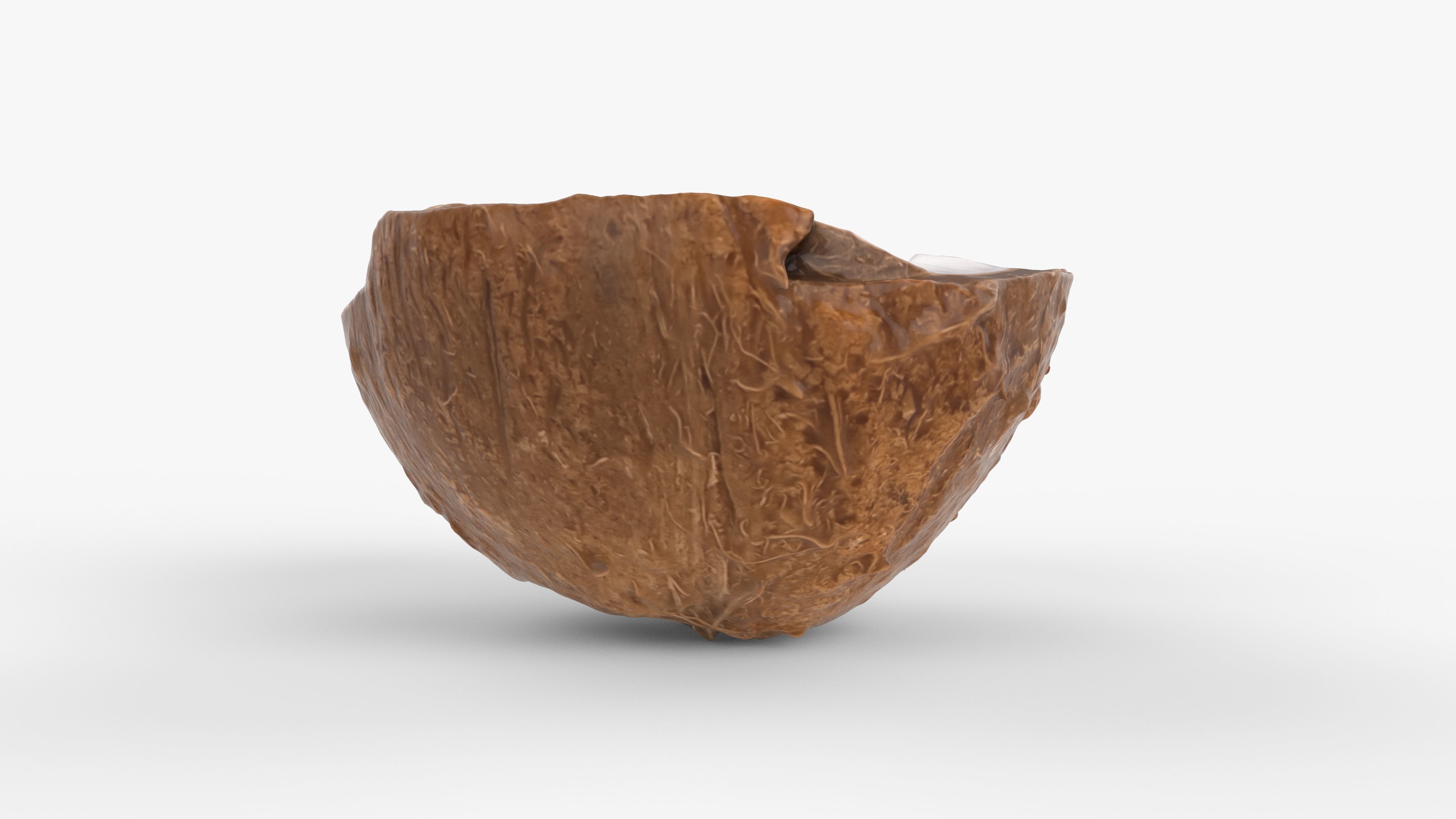 Photorealistic 3D scan of half a coconut Low-poly 3D model_8