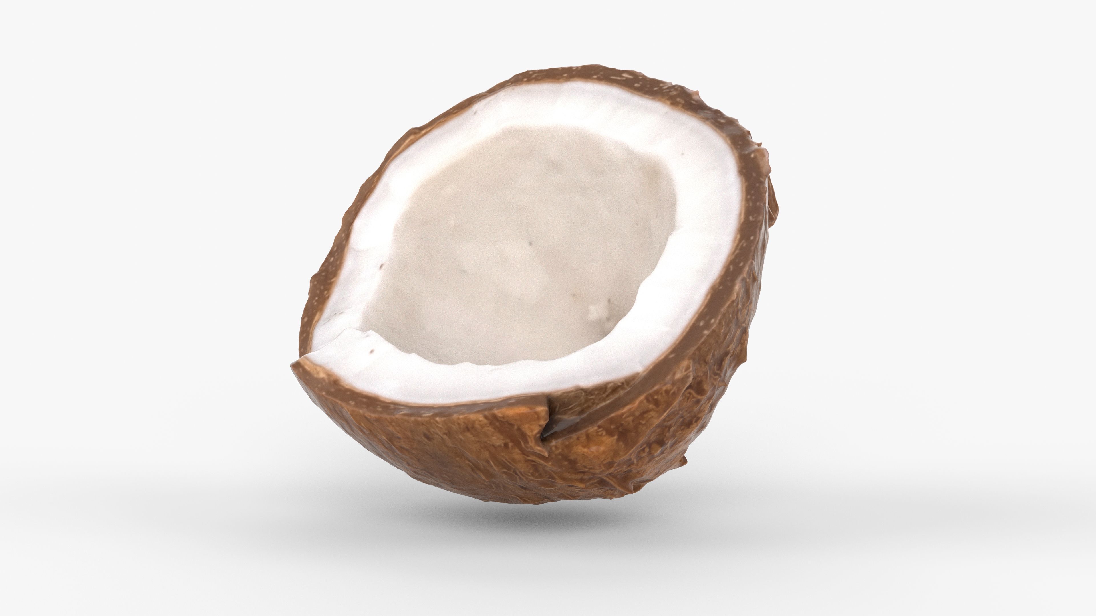 Photorealistic 3D scan of half a coconut Low-poly 3D model_14