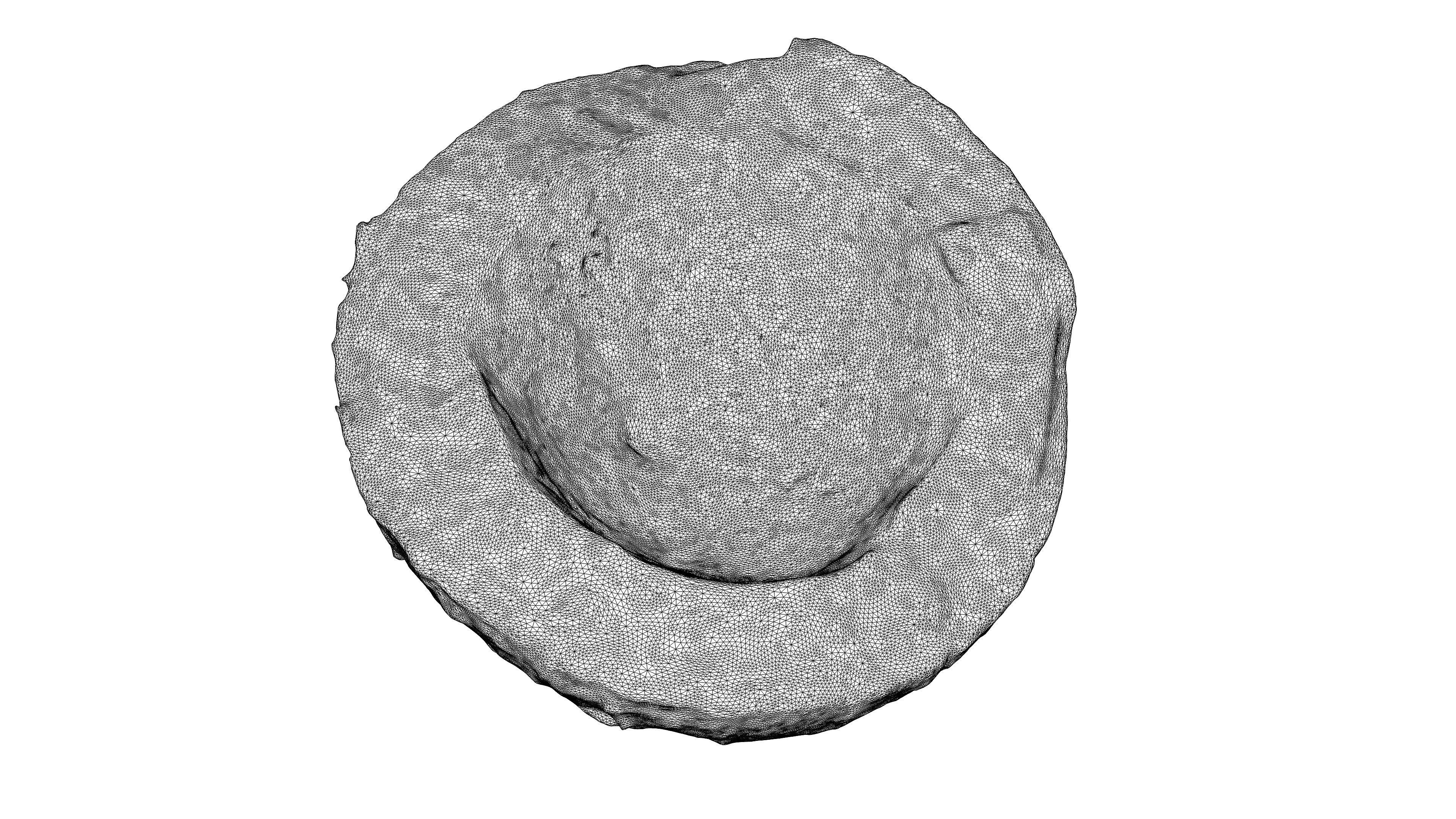 Photorealistic 3D scan of half a coconut Low-poly 3D model_23