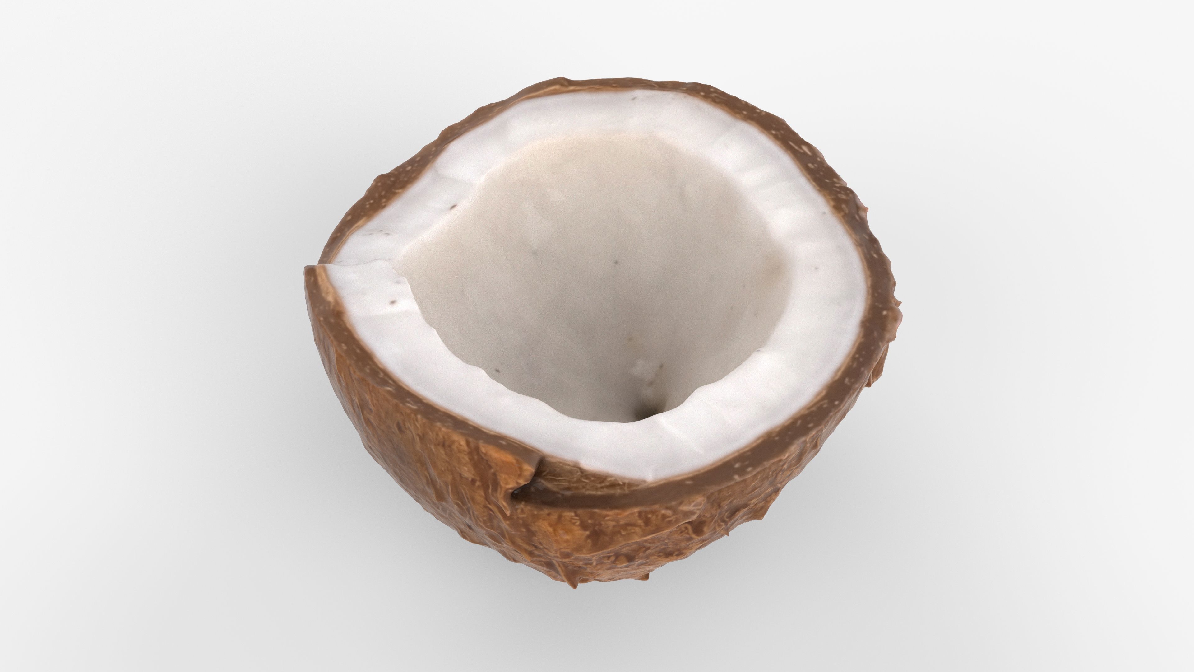 Photorealistic 3D scan of half a coconut Low-poly 3D model_10