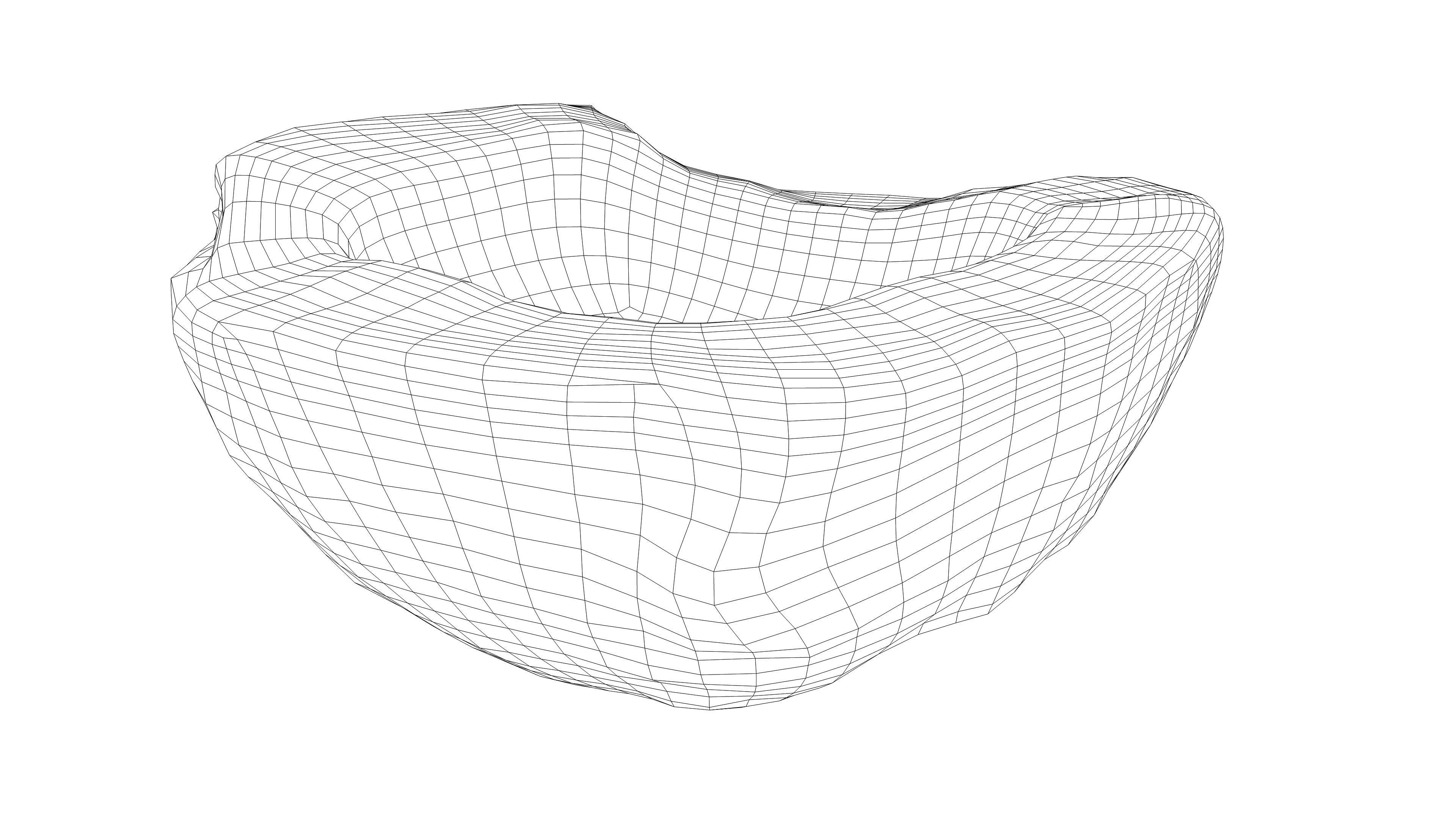 Photorealistic 3D scan of half a coconut Low-poly 3D model_3