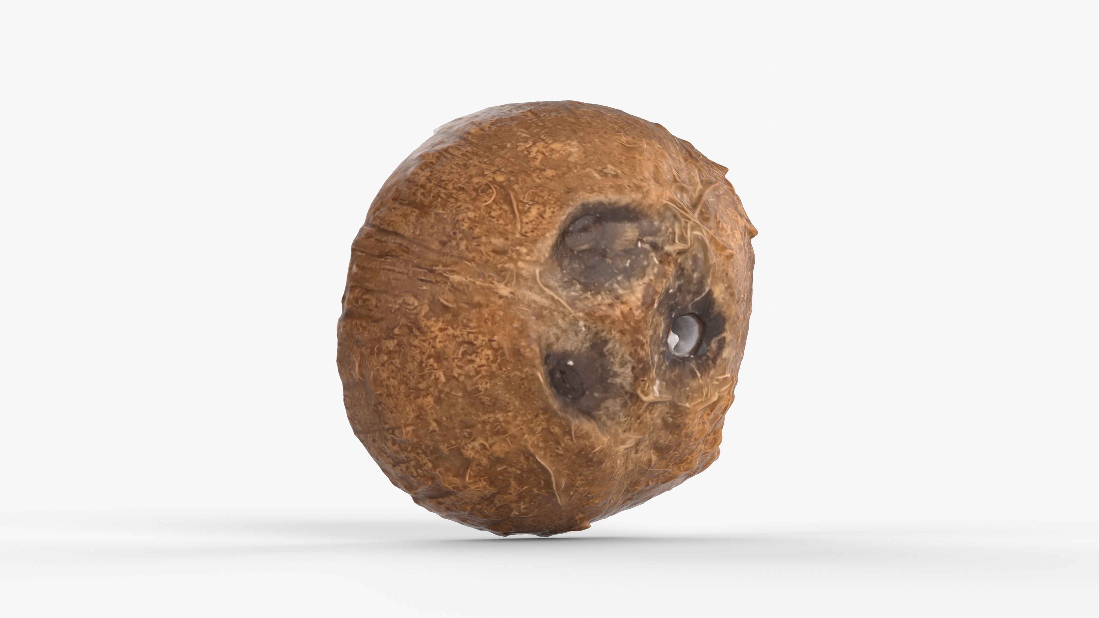 Photorealistic 3D scan of half a coconut Low-poly 3D model_12