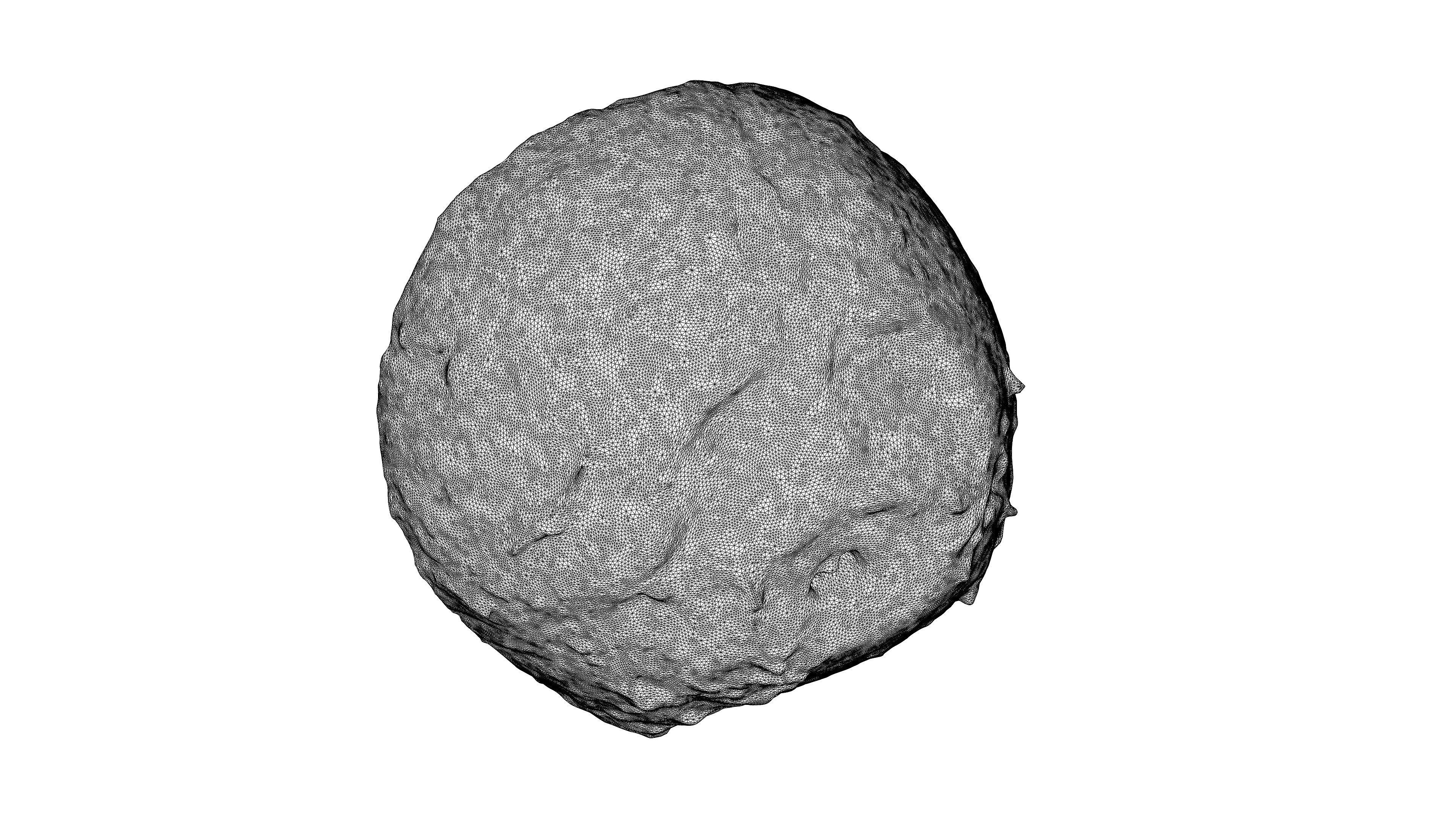 Photorealistic 3D scan of half a coconut Low-poly 3D model_24