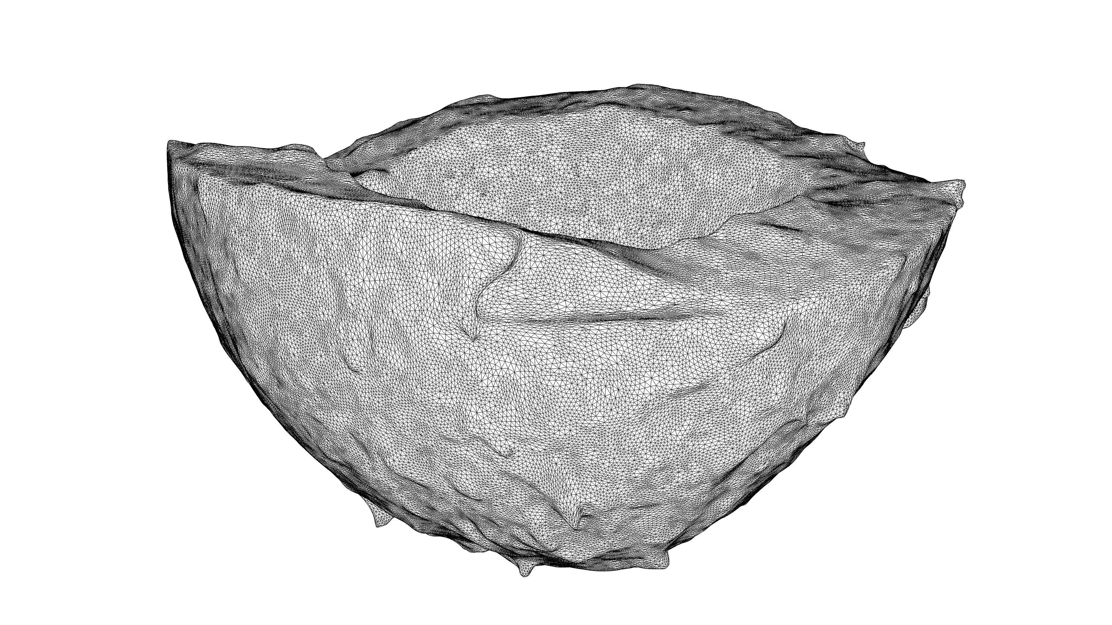 Photorealistic 3D scan of half a coconut Low-poly 3D model_20