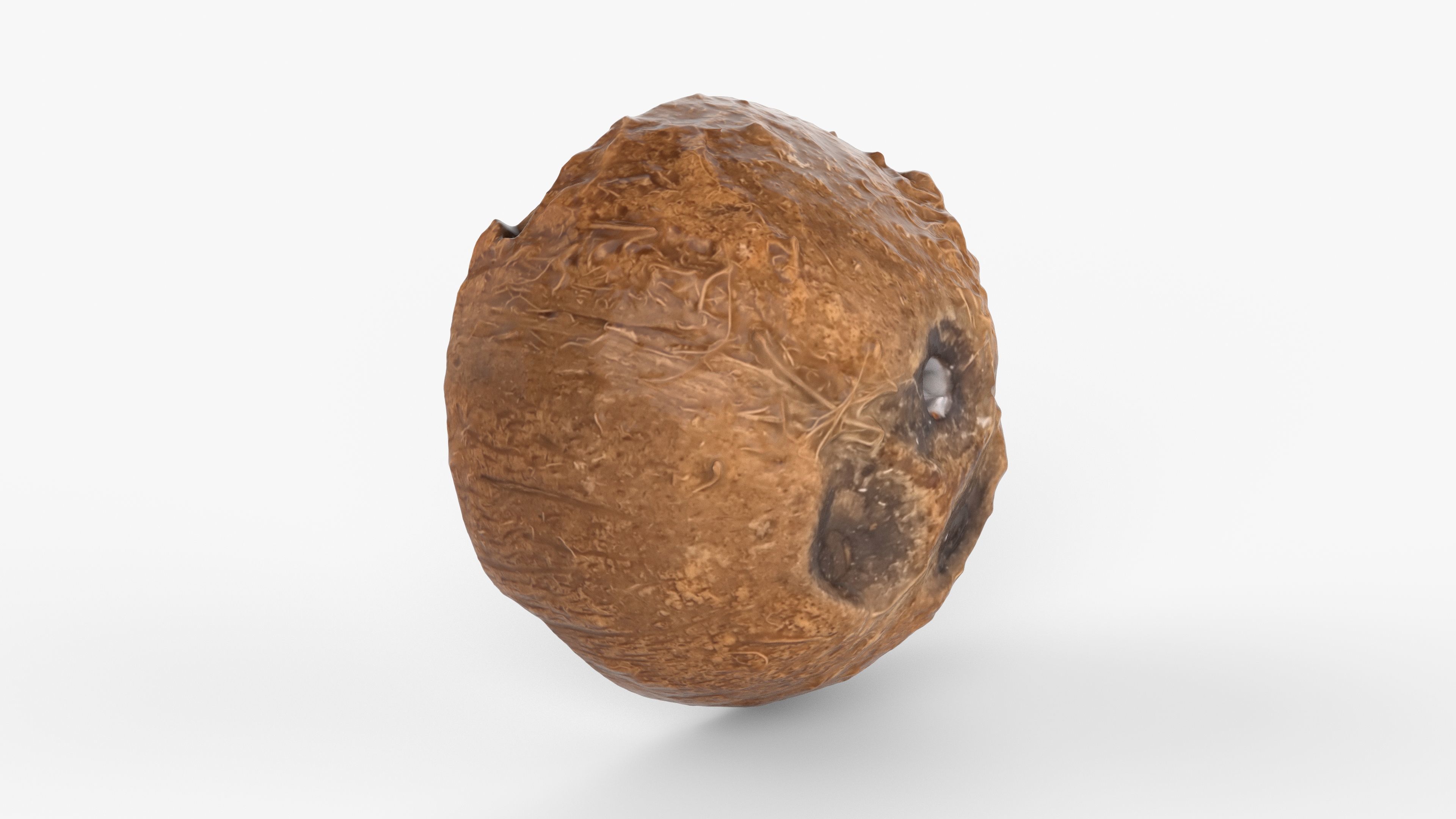Photorealistic 3D scan of half a coconut Low-poly 3D model_7