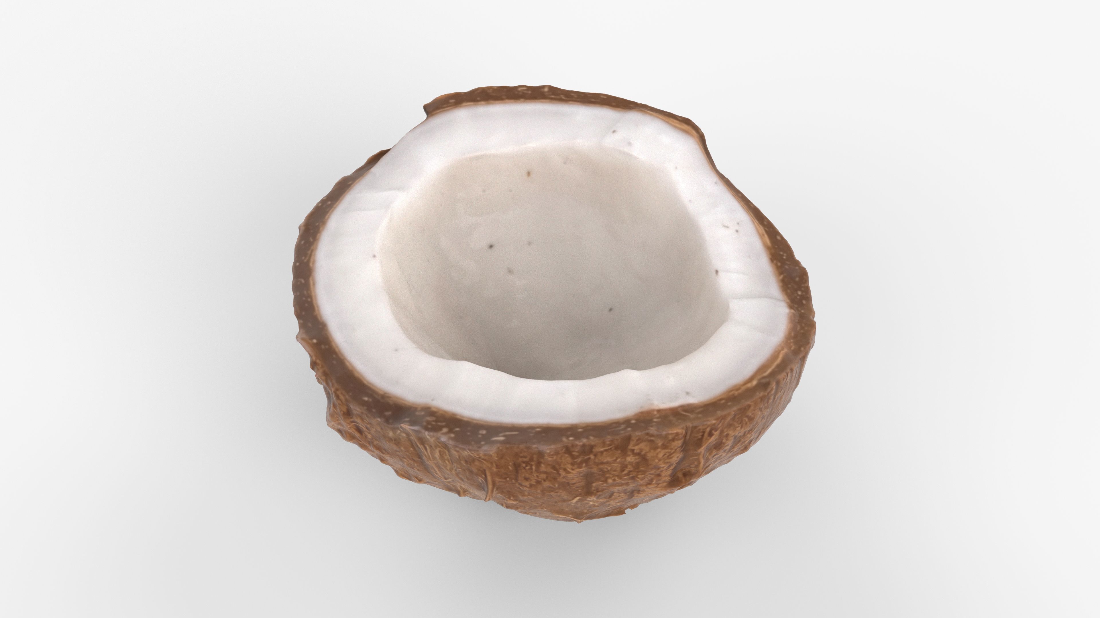 Photorealistic 3D scan of half a coconut Low-poly 3D model_1
