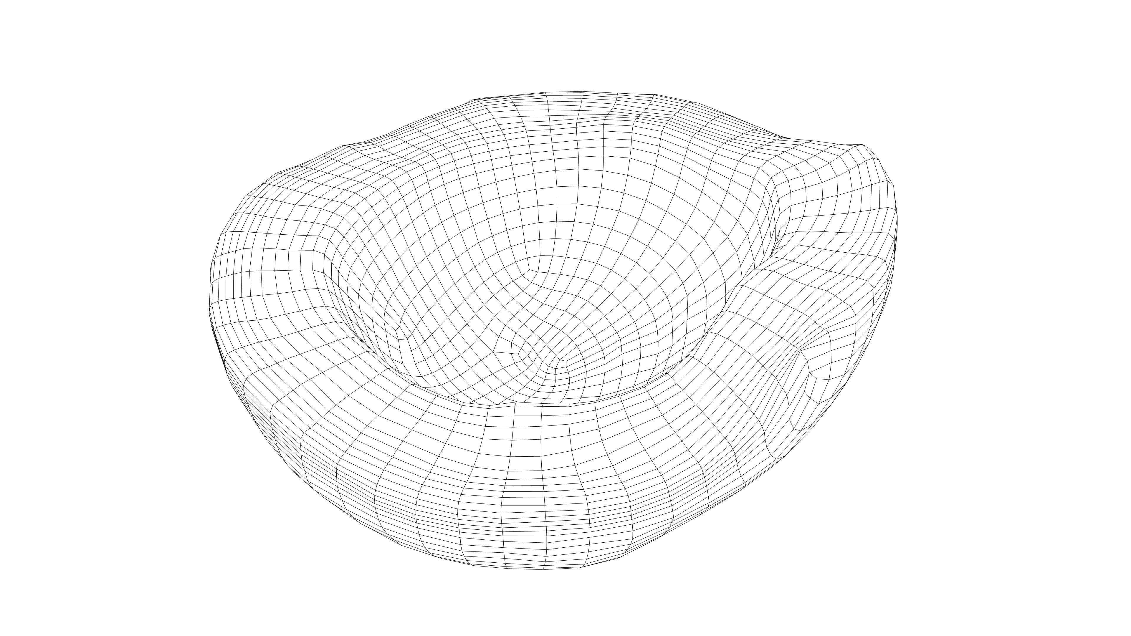 Photorealistic 3D scan of half a coconut Low-poly 3D model_16