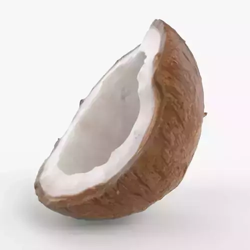 Photorealistic 3D scan of half a coconut Low-poly 3D model