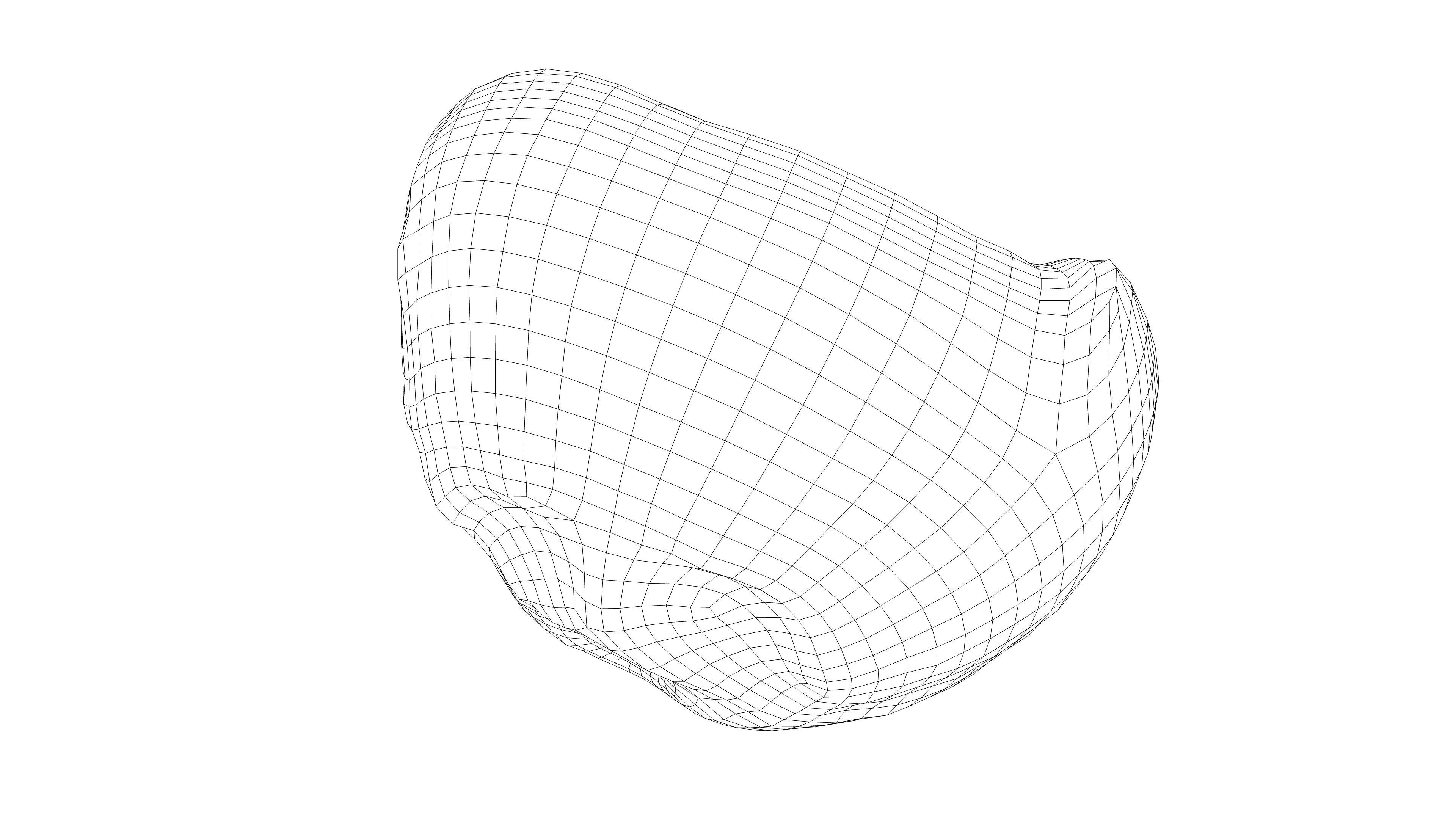 Photorealistic 3D scan of half a coconut Low-poly 3D model_17