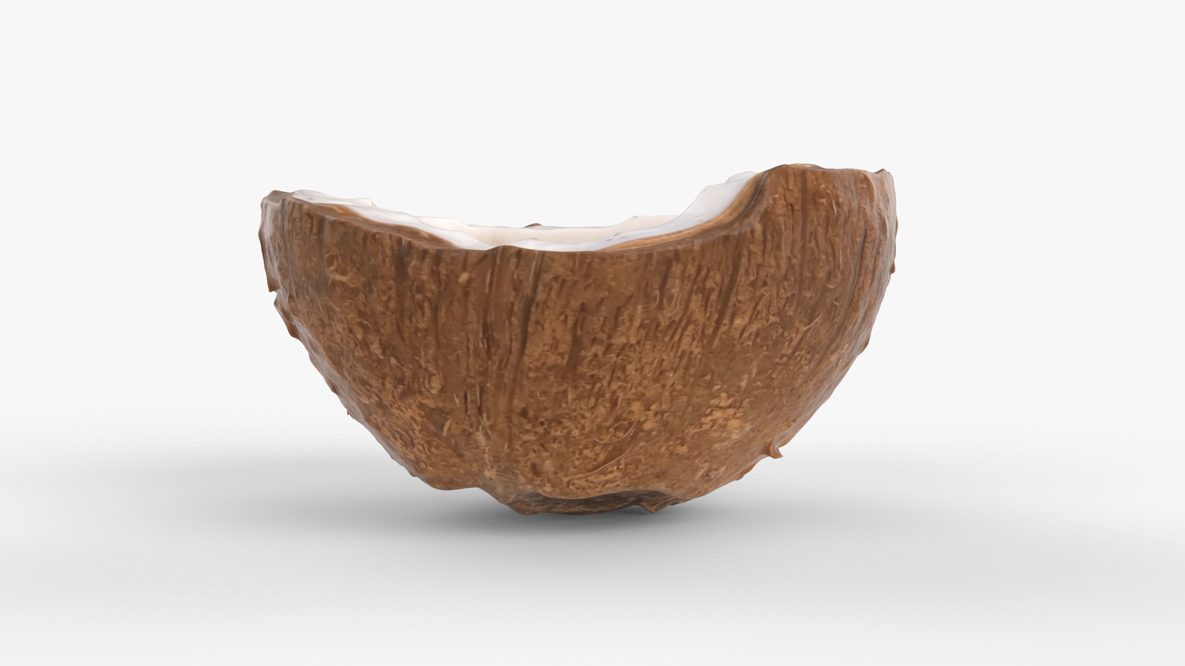 Photorealistic 3D scan of half a coconut Low-poly 3D model_9