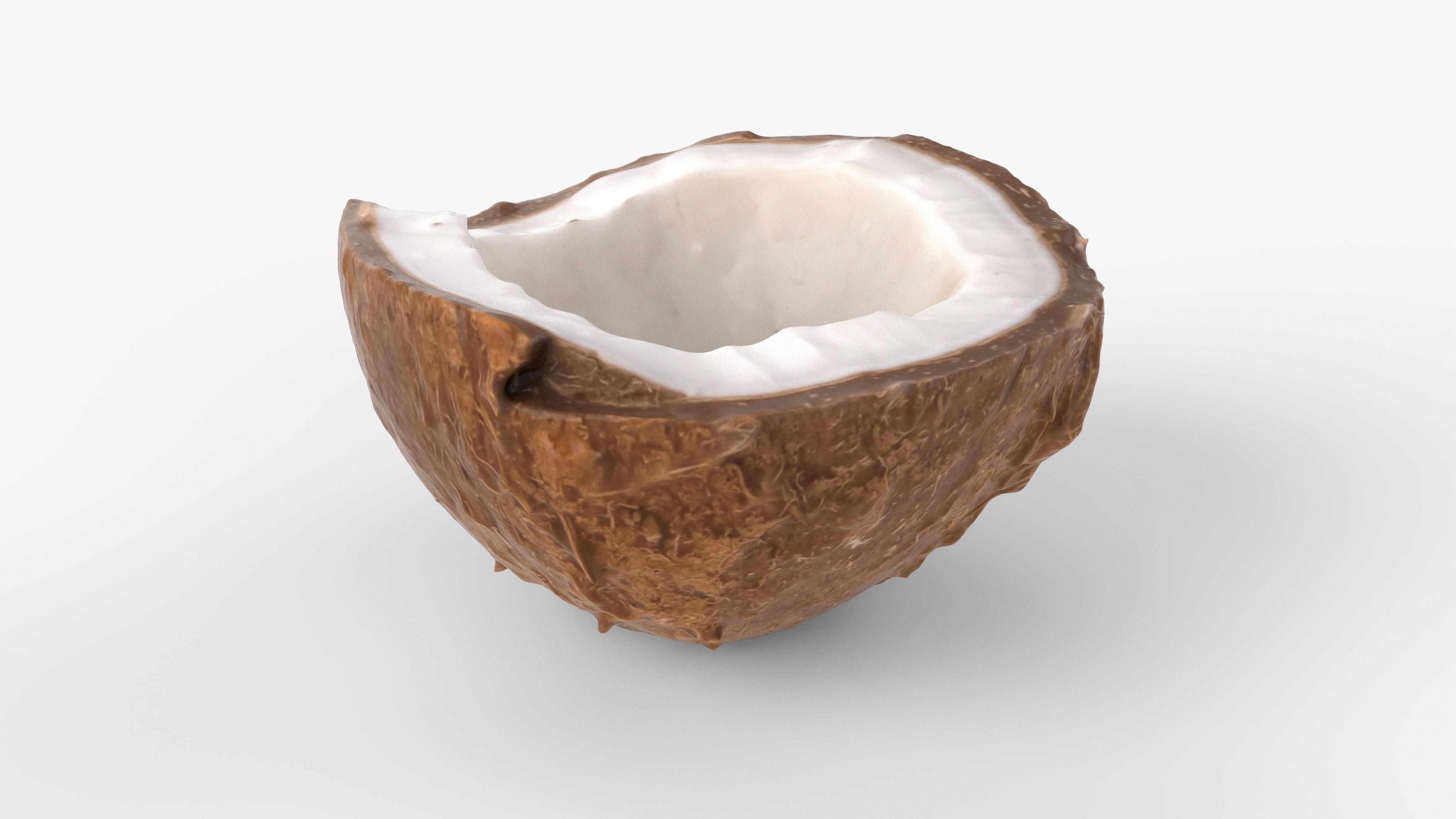 Photorealistic 3D scan of half a coconut Low-poly 3D model_4