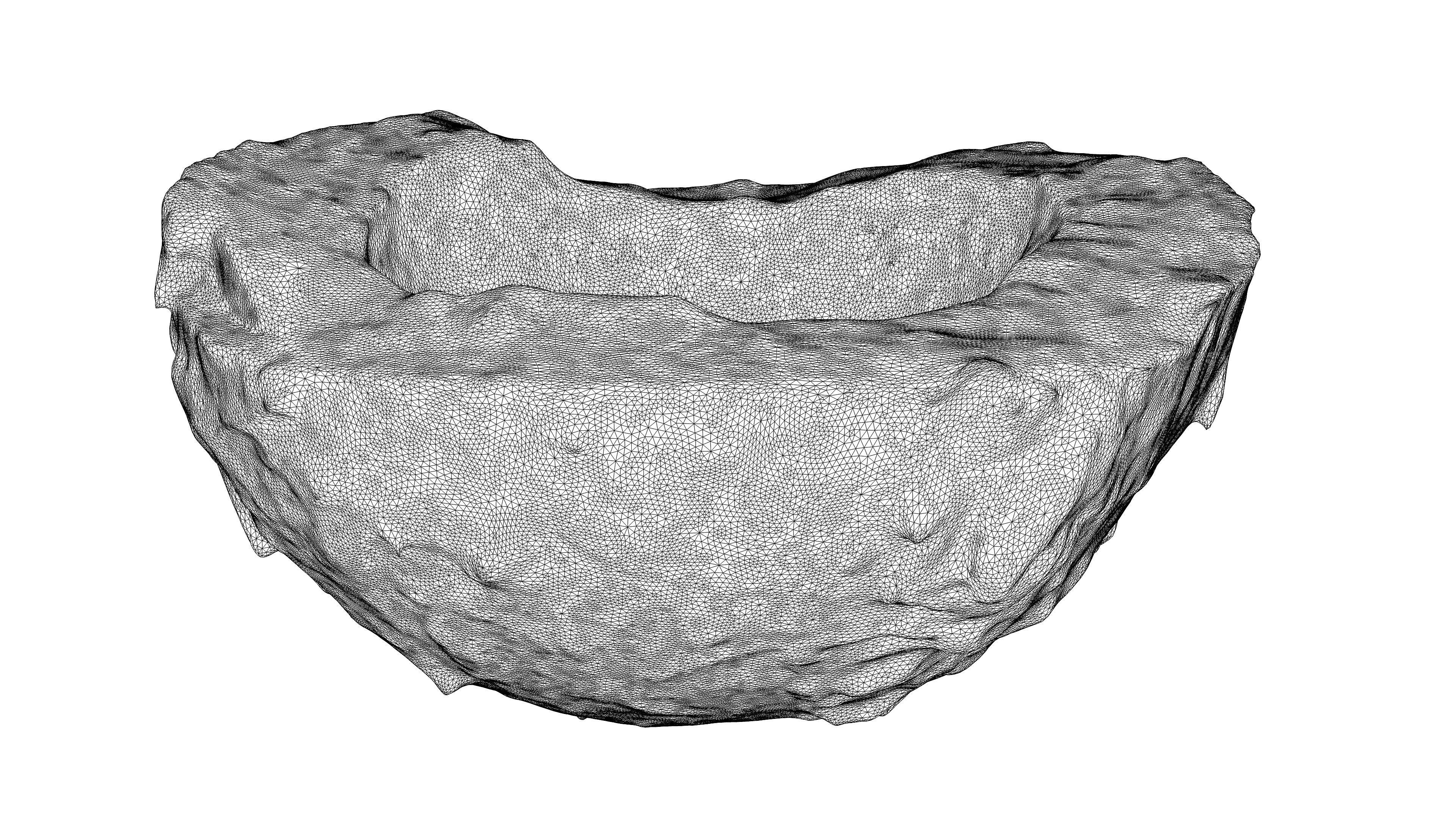 Photorealistic 3D scan of half a coconut Low-poly 3D model_21