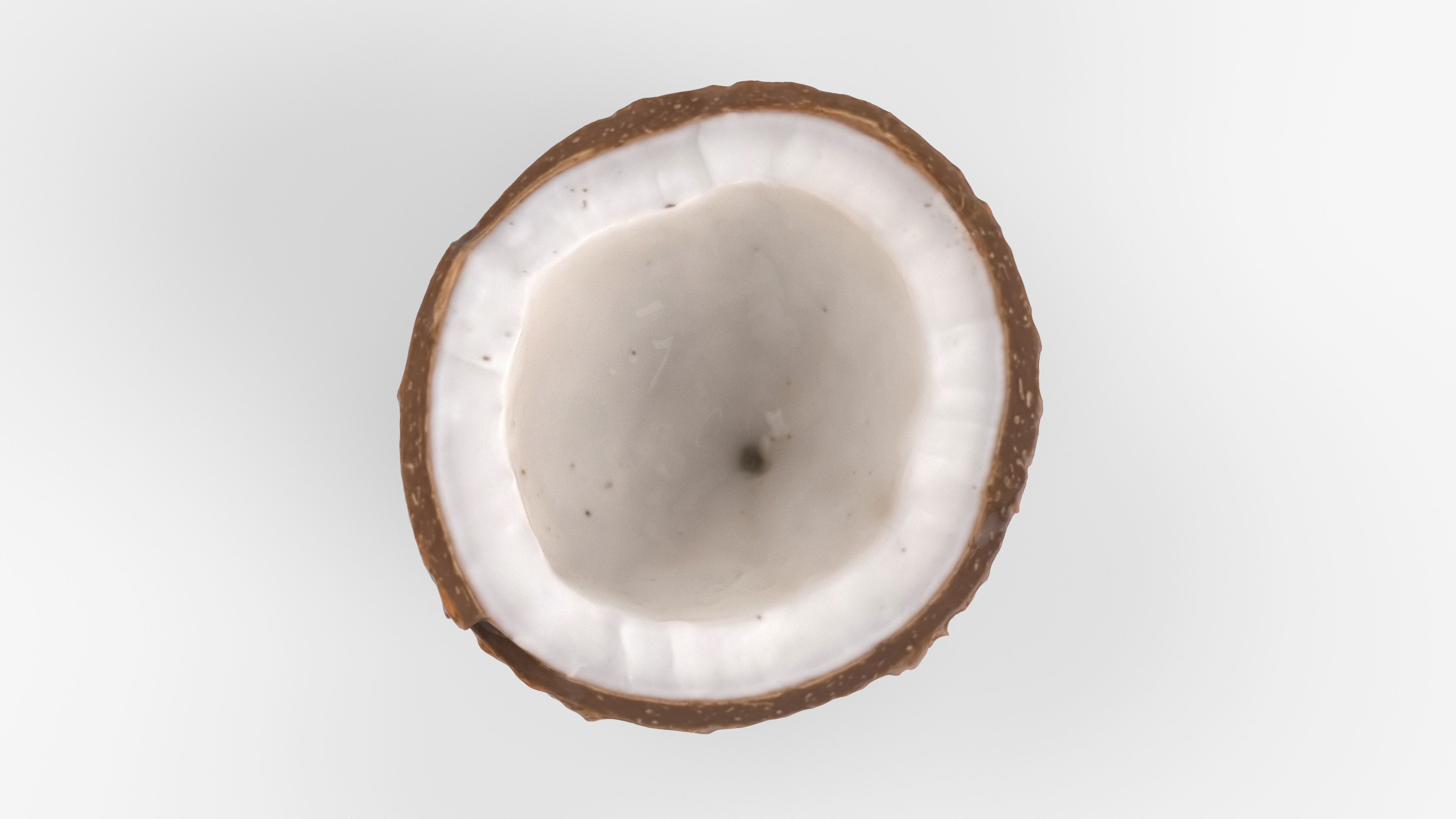 Photorealistic 3D scan of half a coconut Low-poly 3D model_2