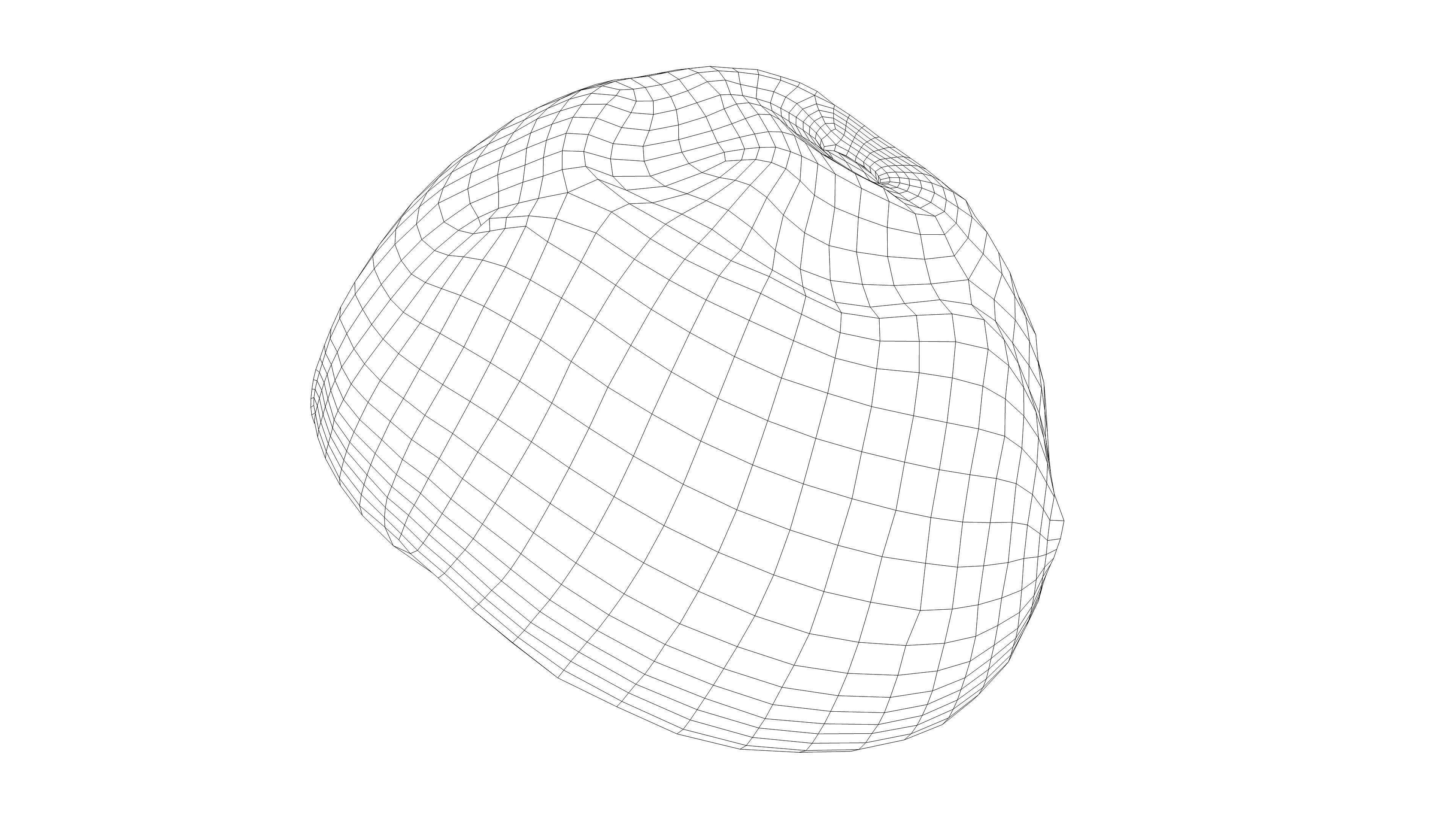 Photorealistic 3D scan of Coconut skin Low-poly 3D model_19