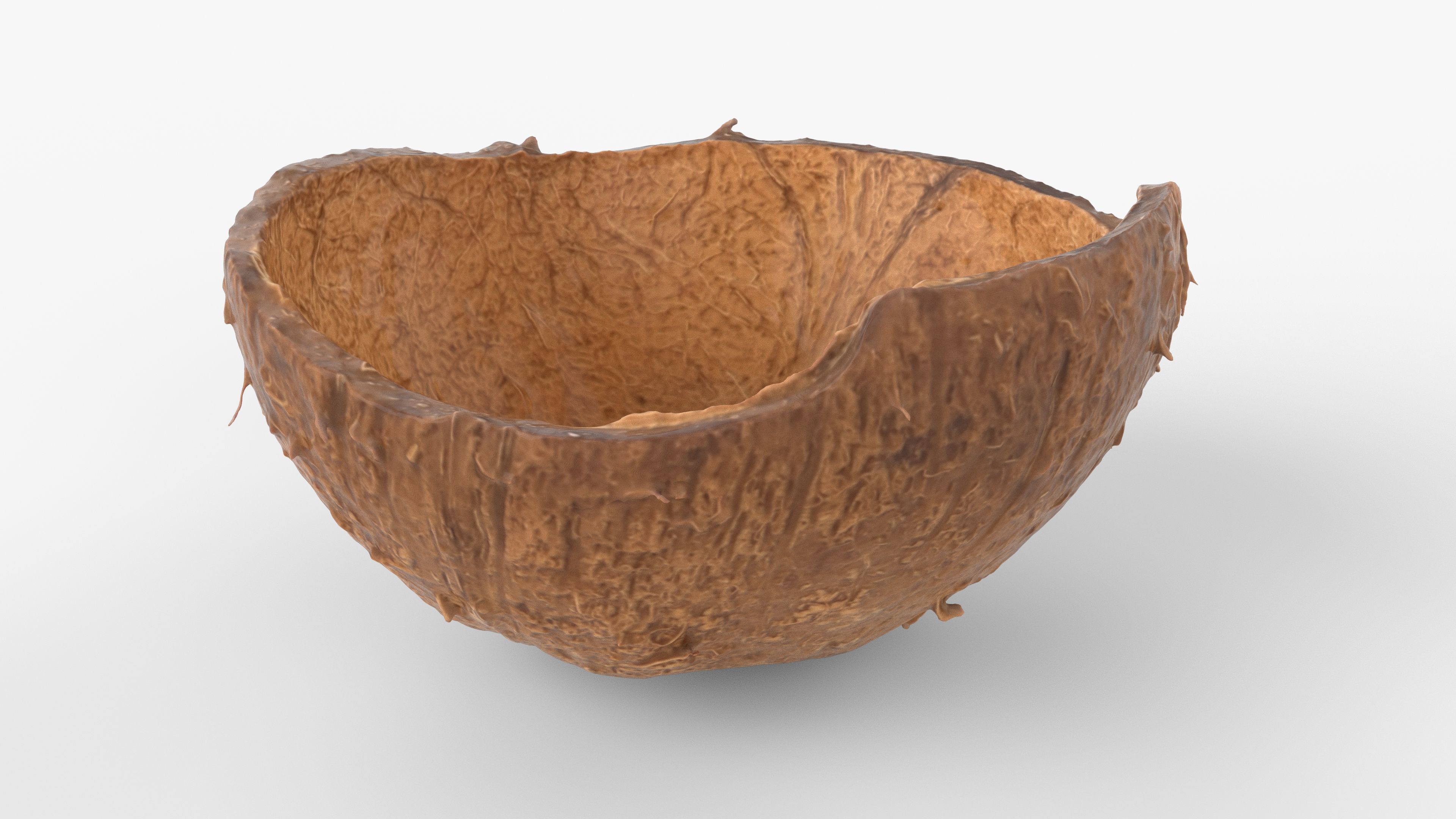 Photorealistic 3D scan of Coconut skin Low-poly 3D model_6