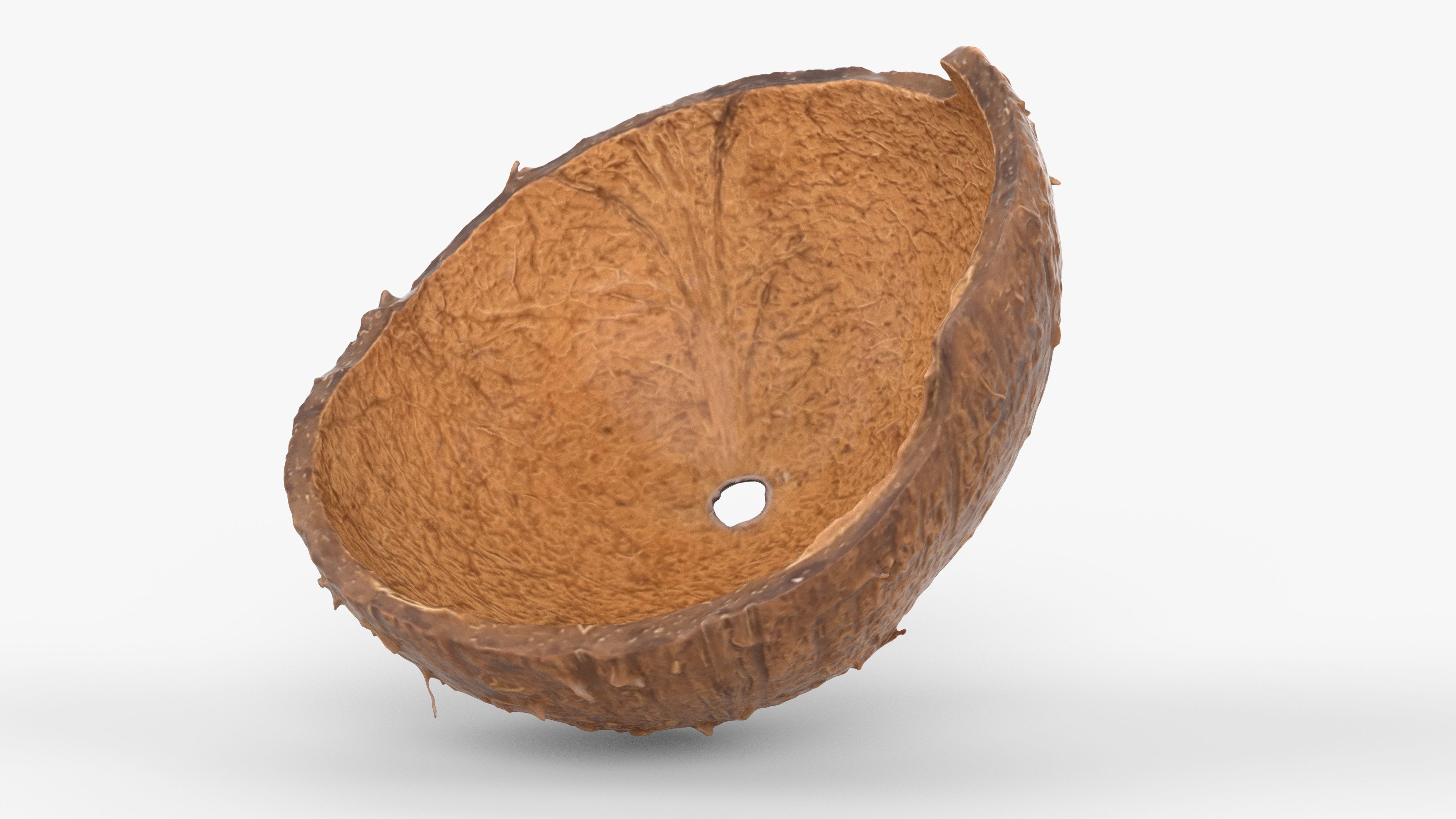 Photorealistic 3D scan of Coconut skin Low-poly 3D model_12