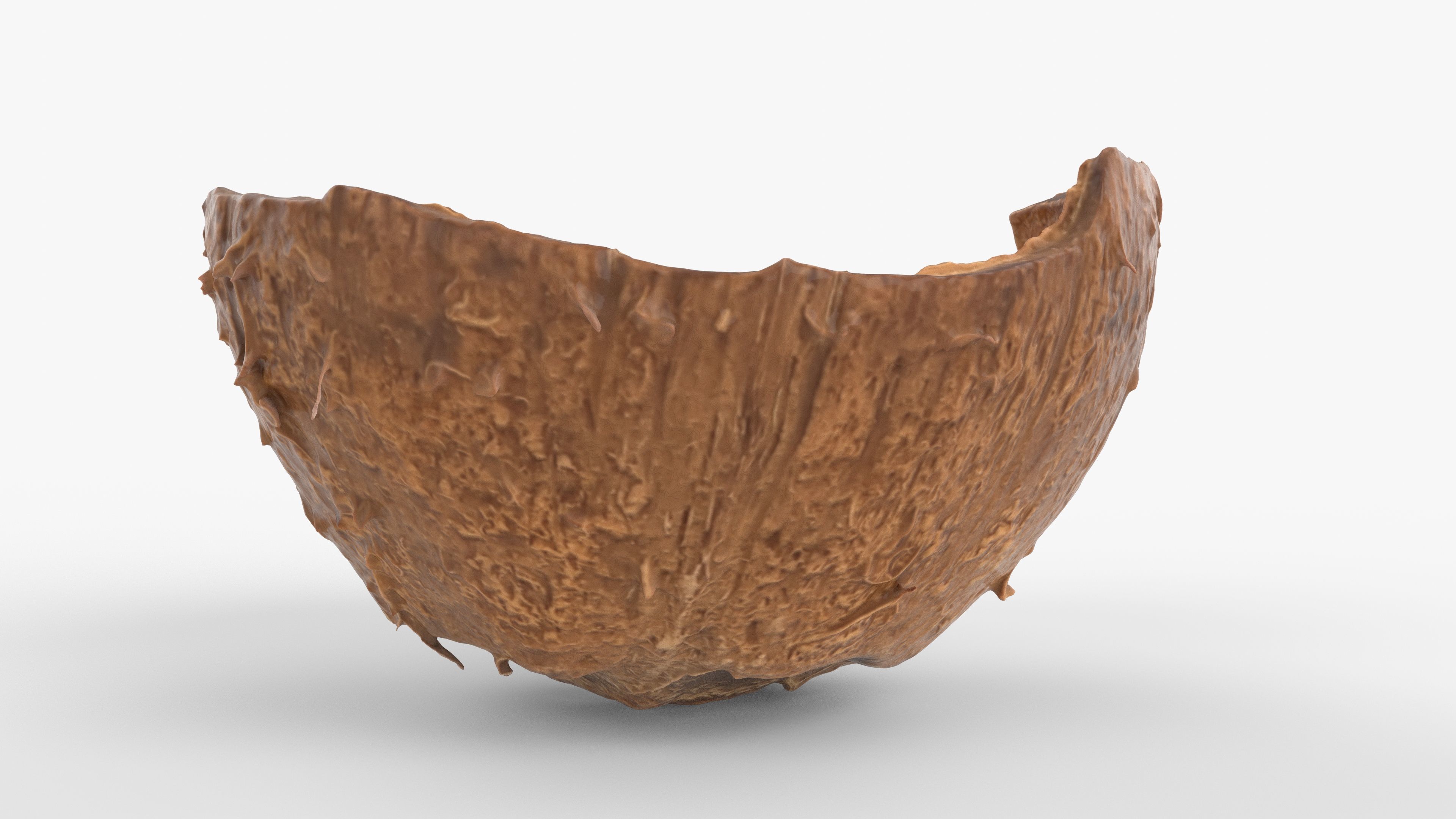 Photorealistic 3D scan of Coconut skin Low-poly 3D model_7