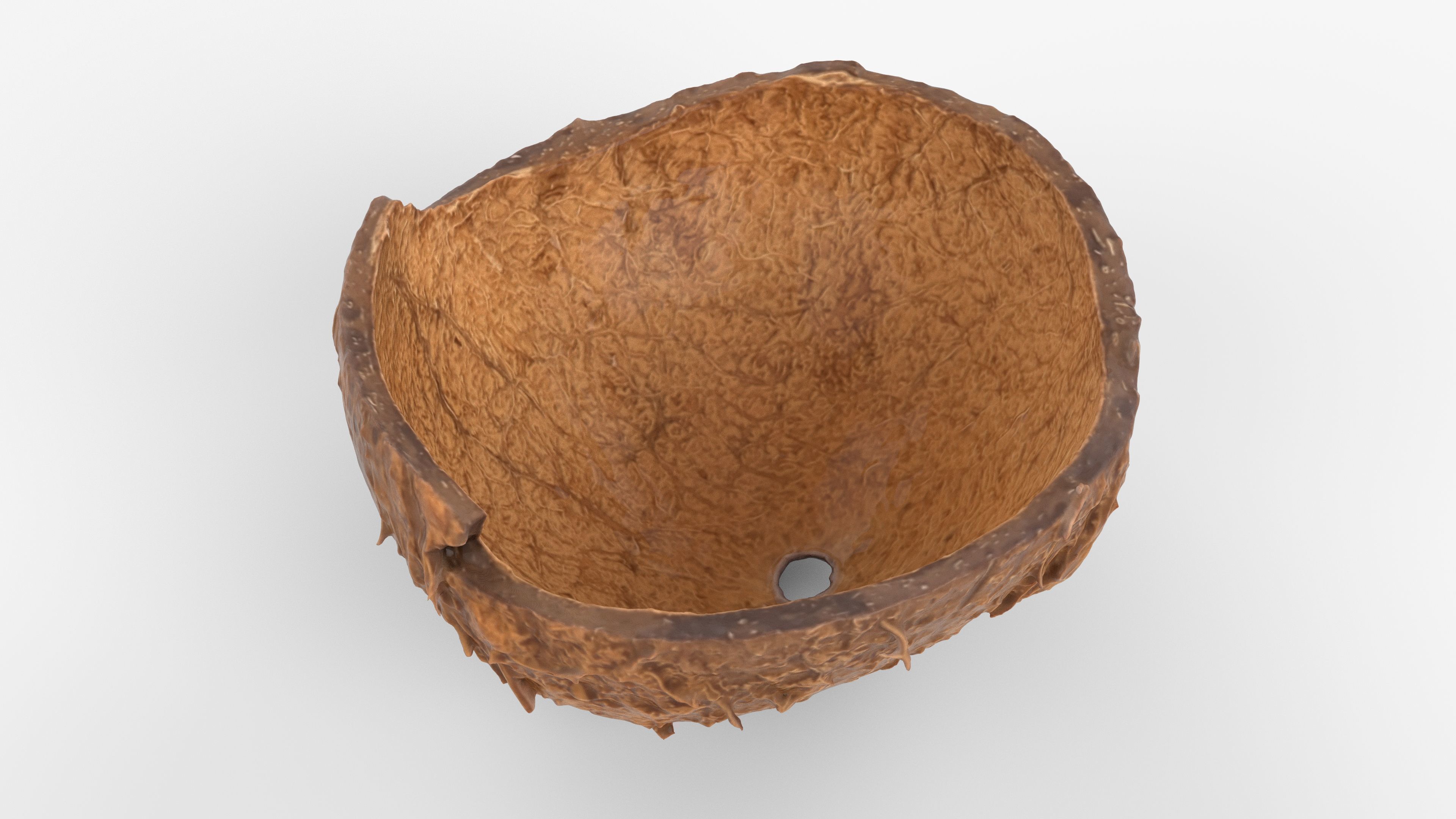 Photorealistic 3D scan of Coconut skin Low-poly 3D model_11