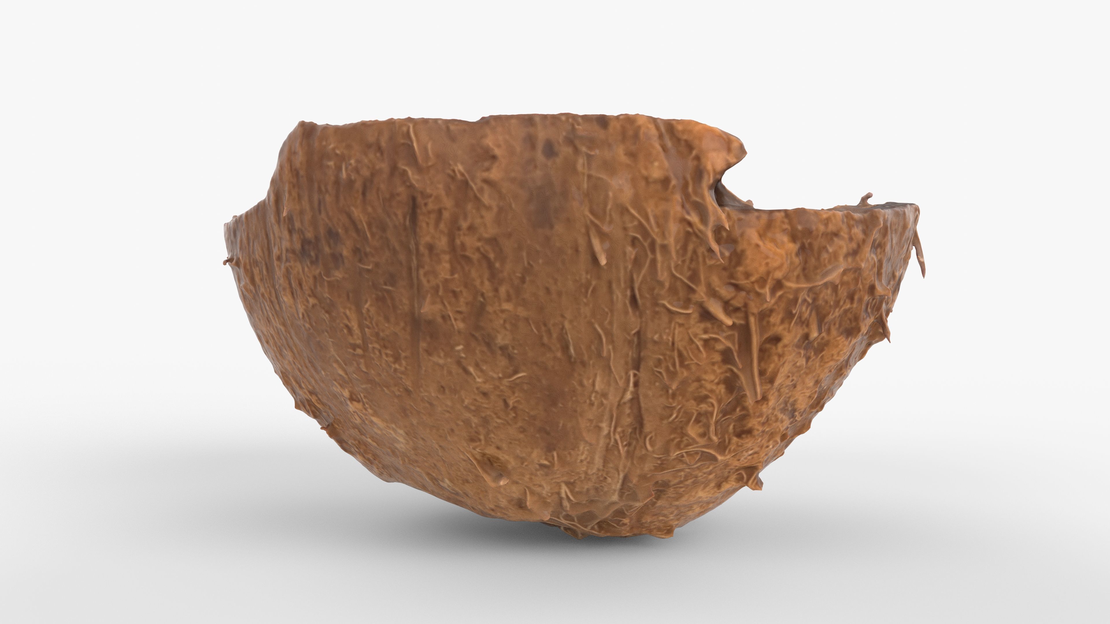 Photorealistic 3D scan of Coconut skin Low-poly 3D model_2