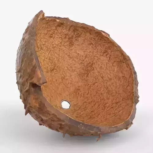 Photorealistic 3D scan of Coconut skin Low-poly 3D model