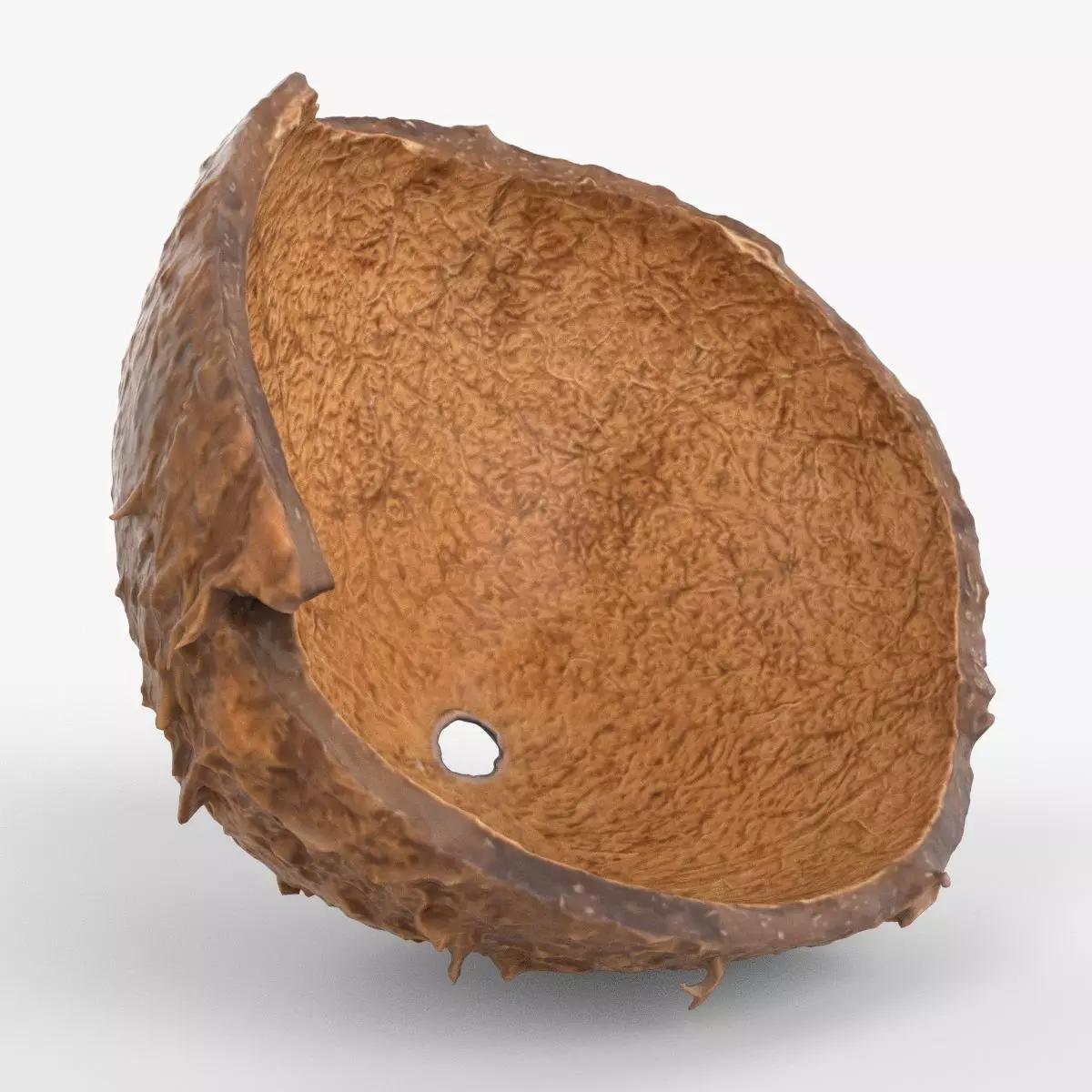 Photorealistic 3D scan of Coconut skin Low-poly 3D model_0