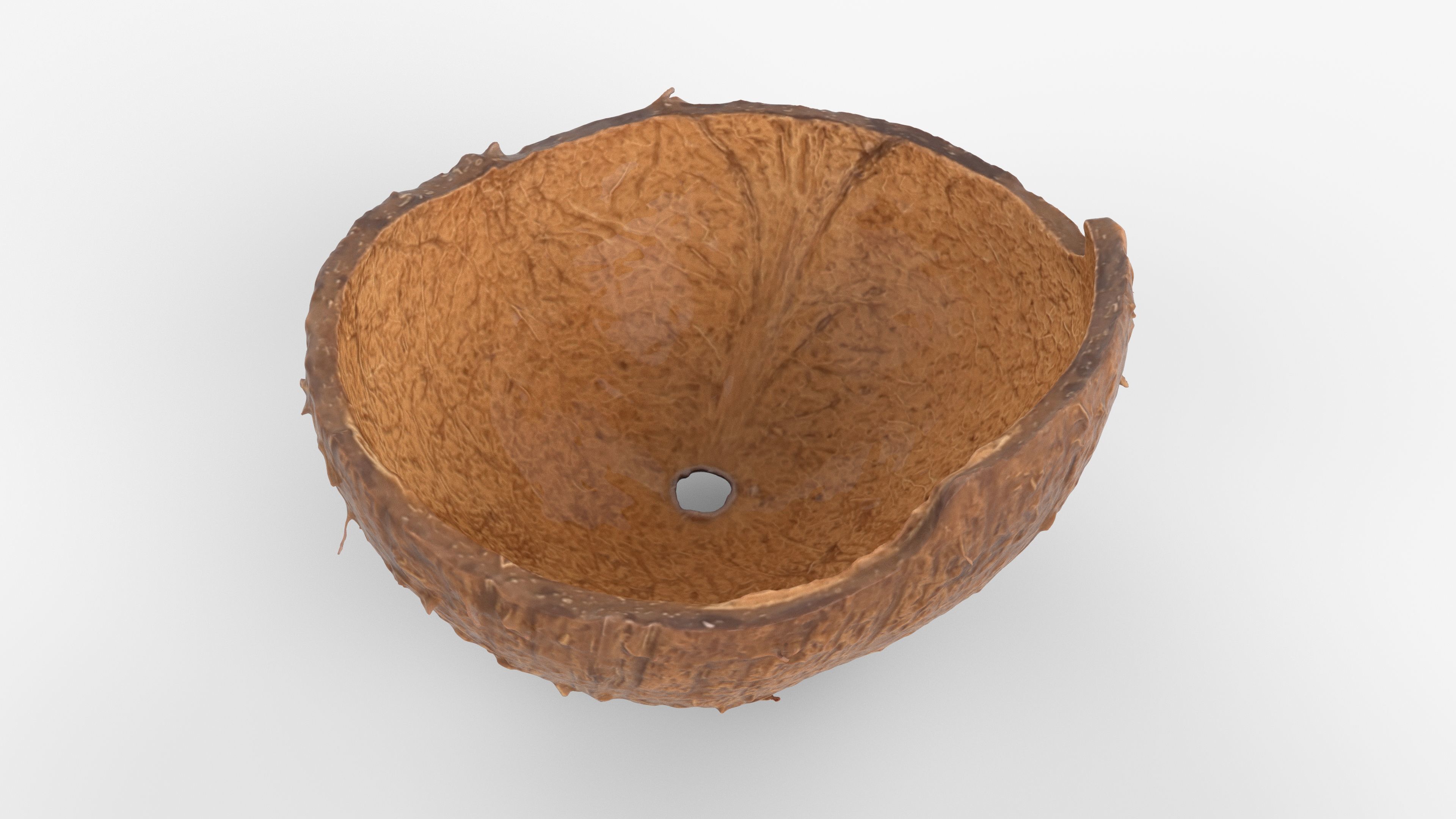 Photorealistic 3D scan of Coconut skin Low-poly 3D model_9