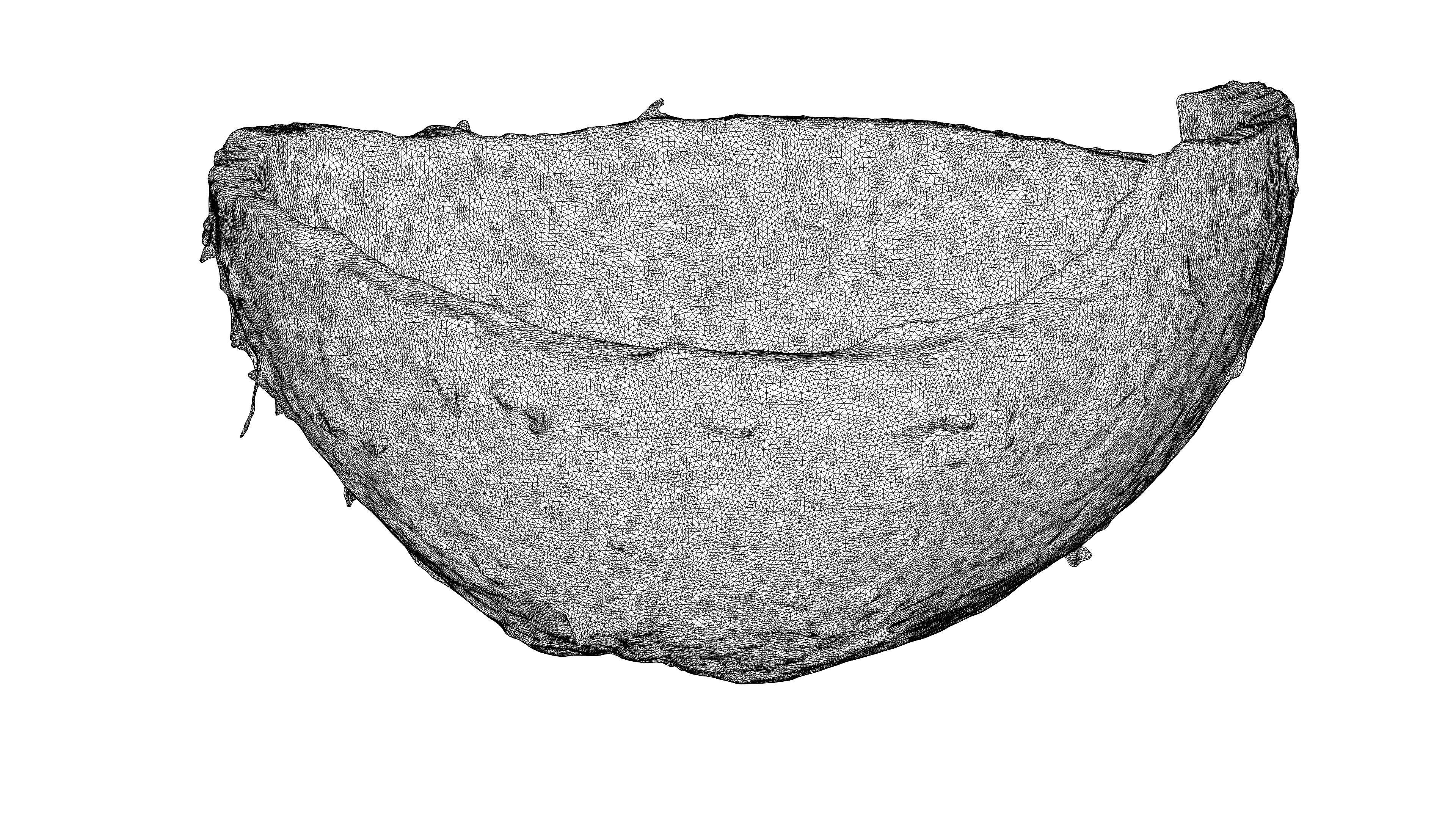 Photorealistic 3D scan of Coconut skin Low-poly 3D model_20