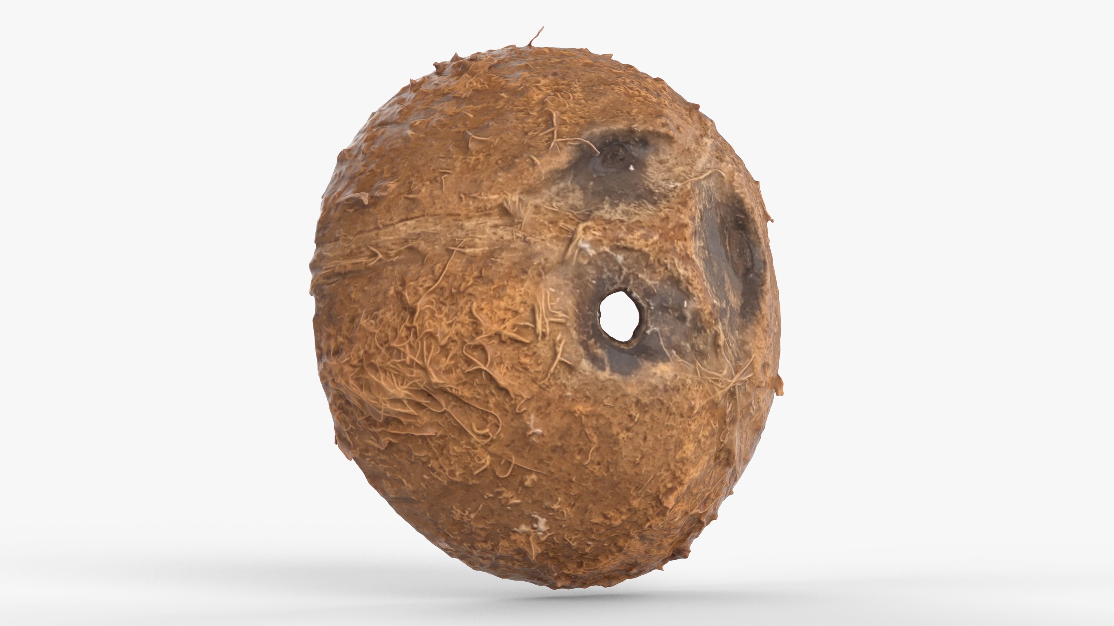 Photorealistic 3D scan of Coconut skin Low-poly 3D model_4