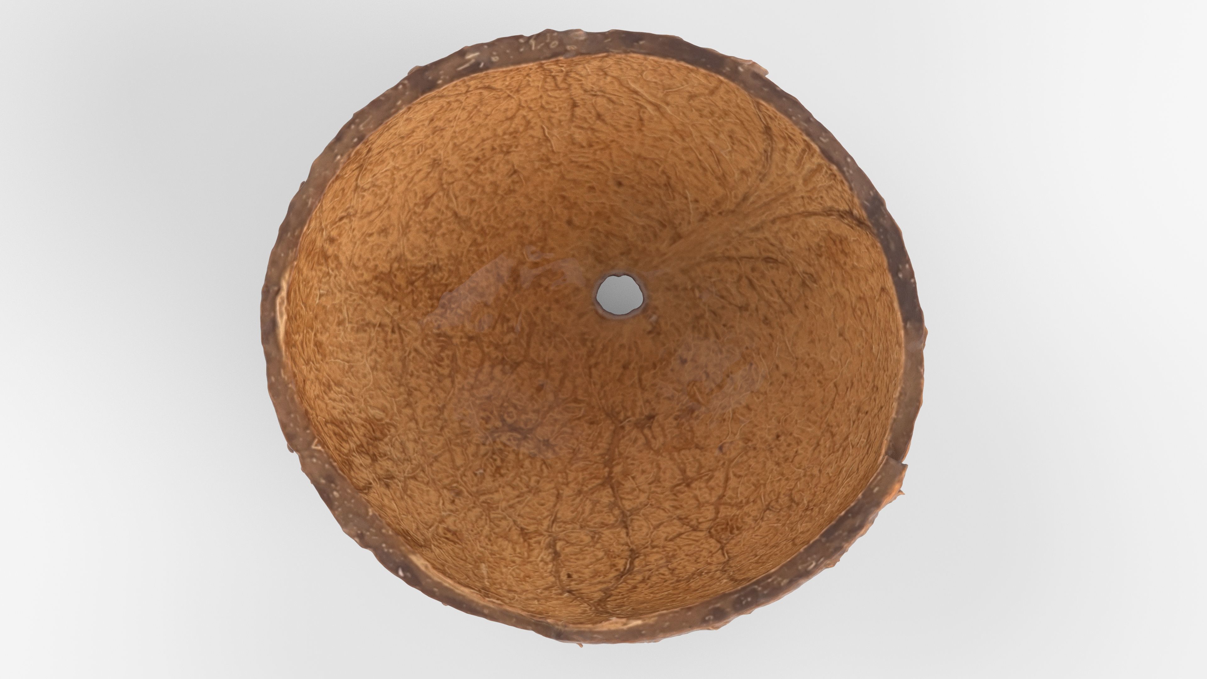 Photorealistic 3D scan of Coconut skin Low-poly 3D model_5
