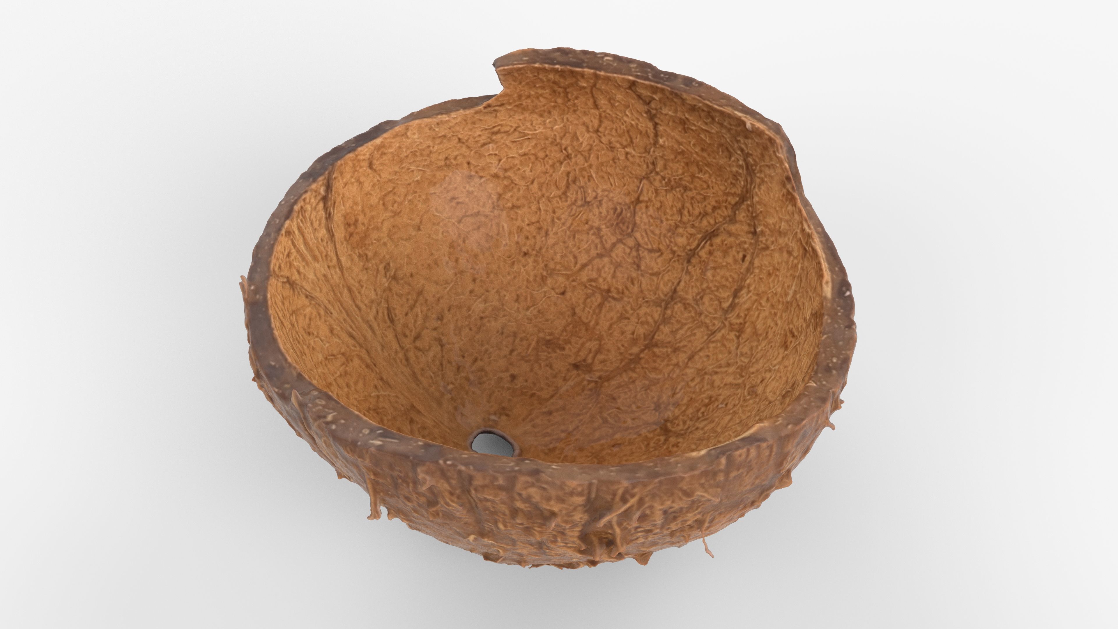 Photorealistic 3D scan of Coconut skin Low-poly 3D model_1