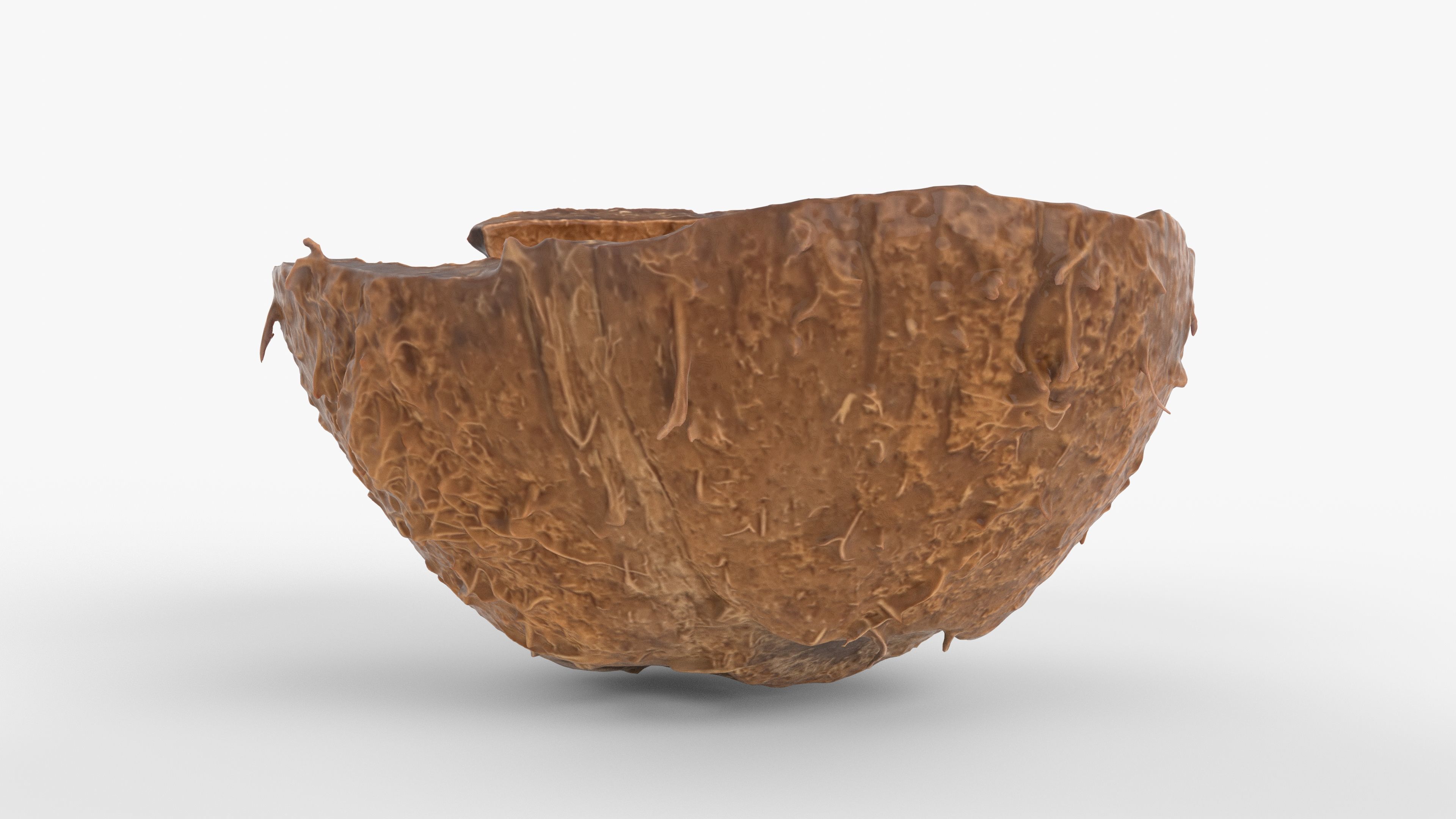 Photorealistic 3D scan of Coconut skin Low-poly 3D model_8