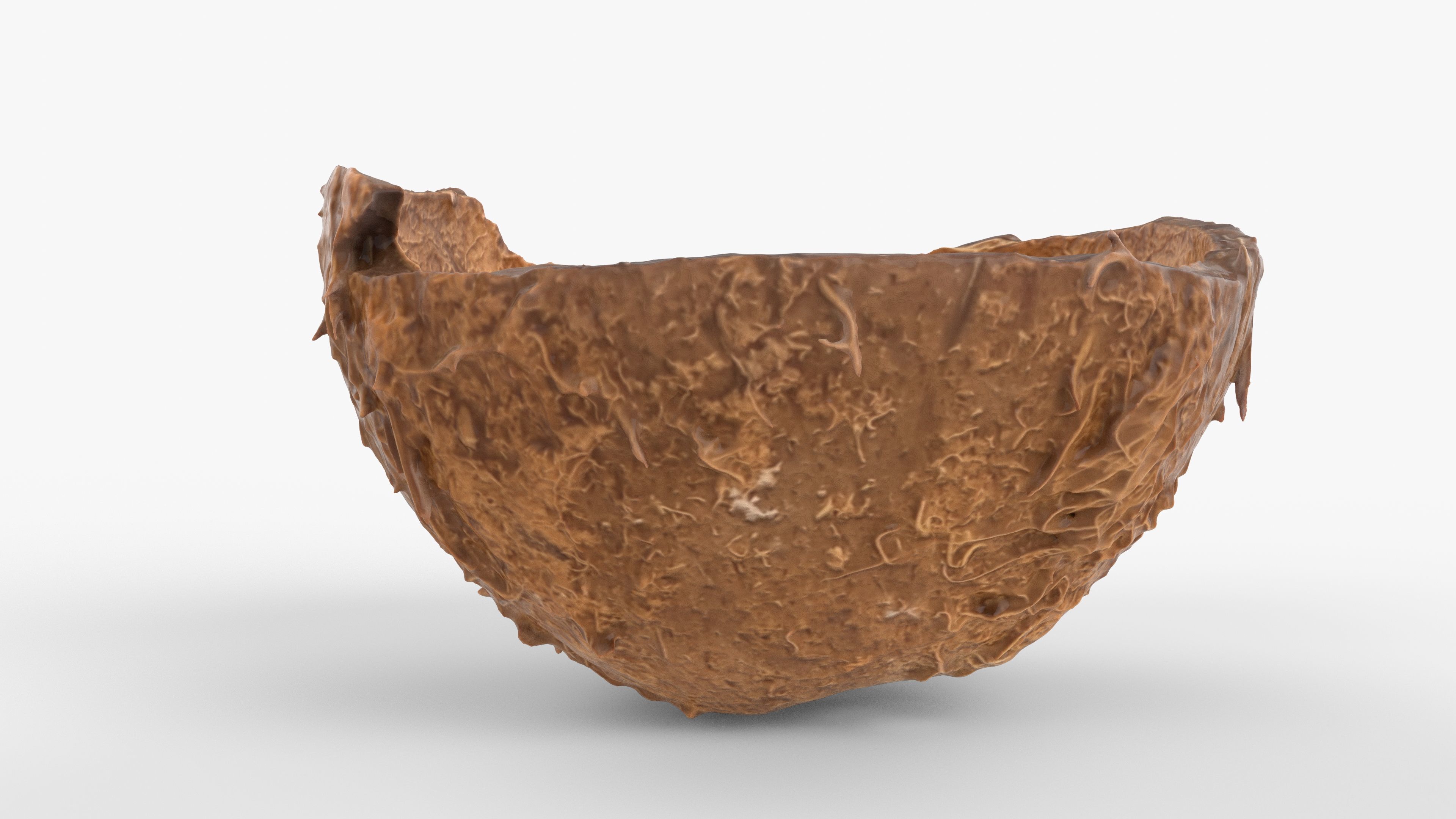 Photorealistic 3D scan of Coconut skin Low-poly 3D model_3