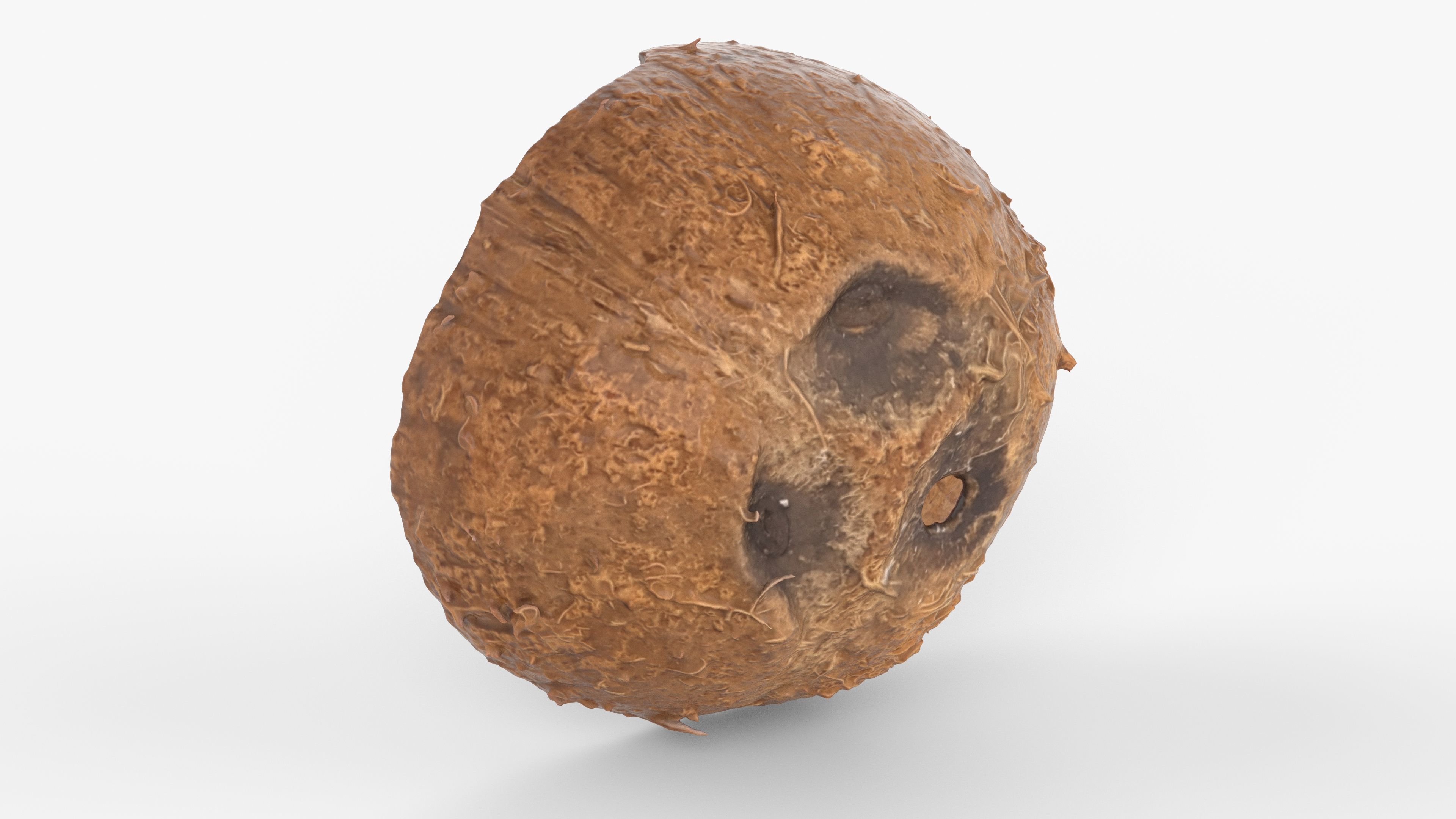 Photorealistic 3D scan of Coconut skin Low-poly 3D model_13