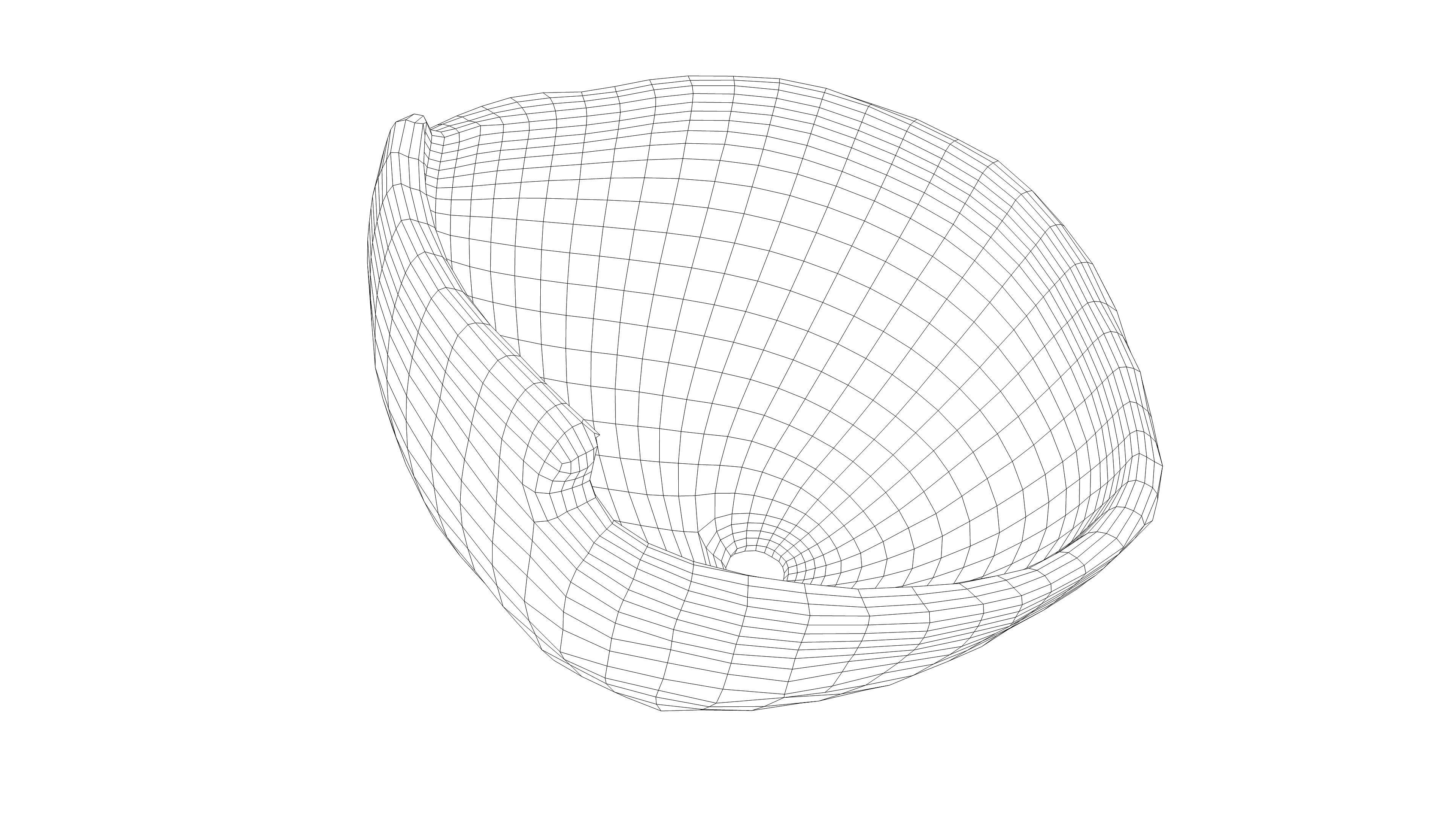 Photorealistic 3D scan of Coconut skin Low-poly 3D model_16