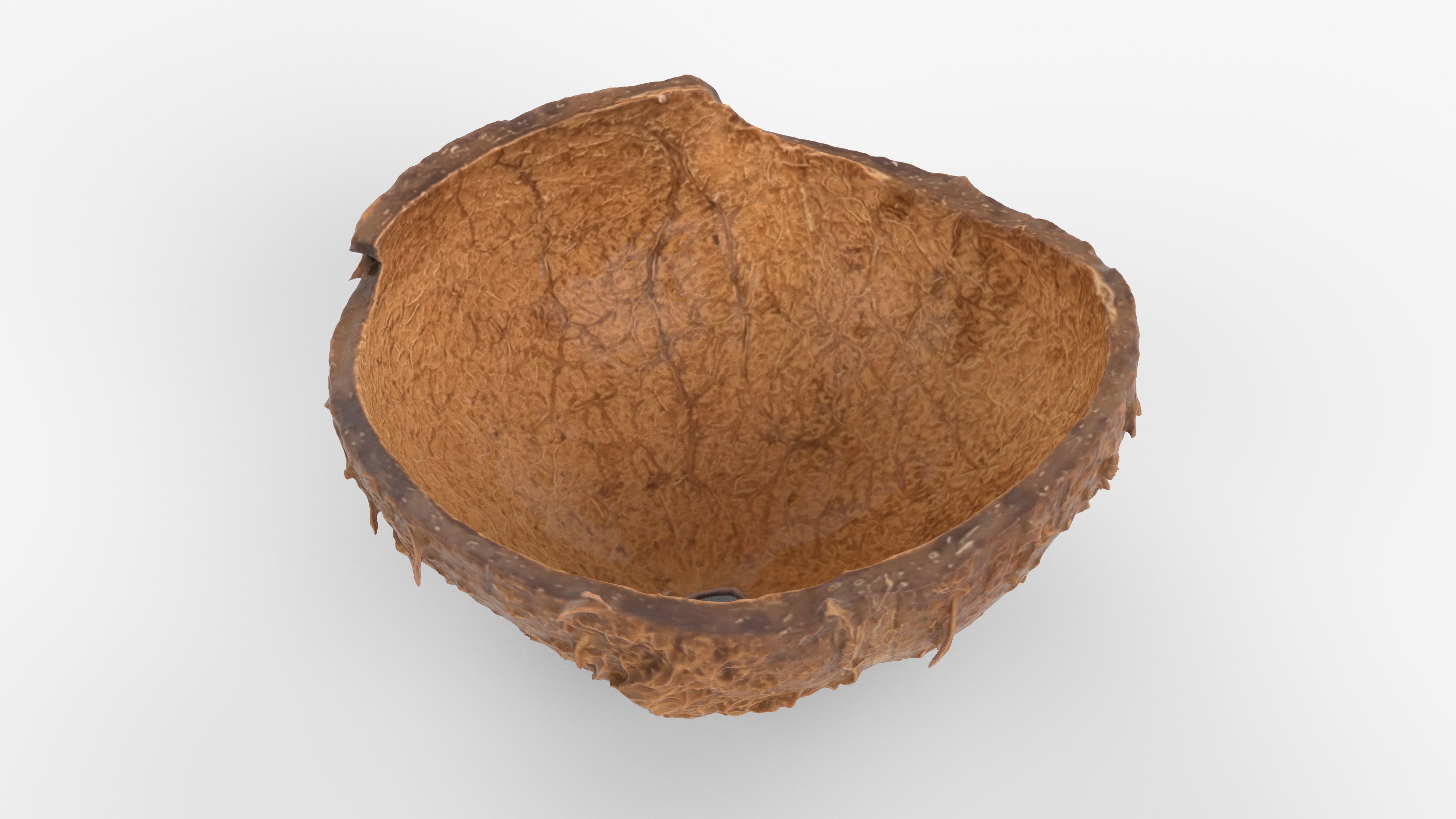 Photorealistic 3D scan of Coconut skin Low-poly 3D model_10