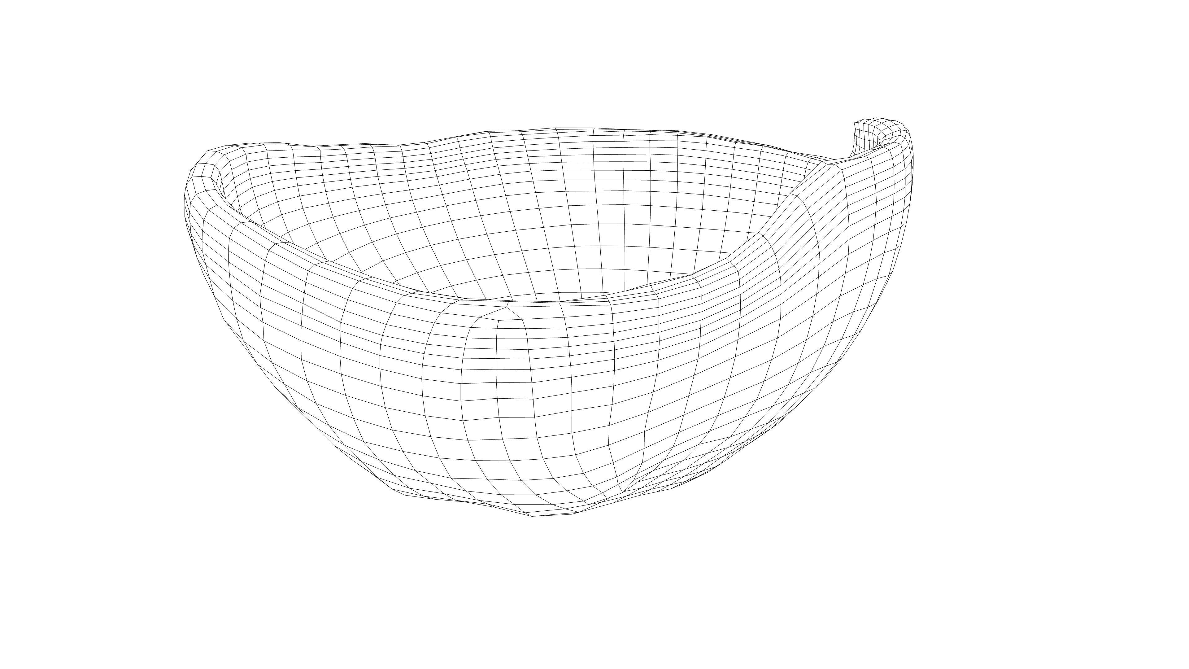 Photorealistic 3D scan of Coconut skin Low-poly 3D model_14