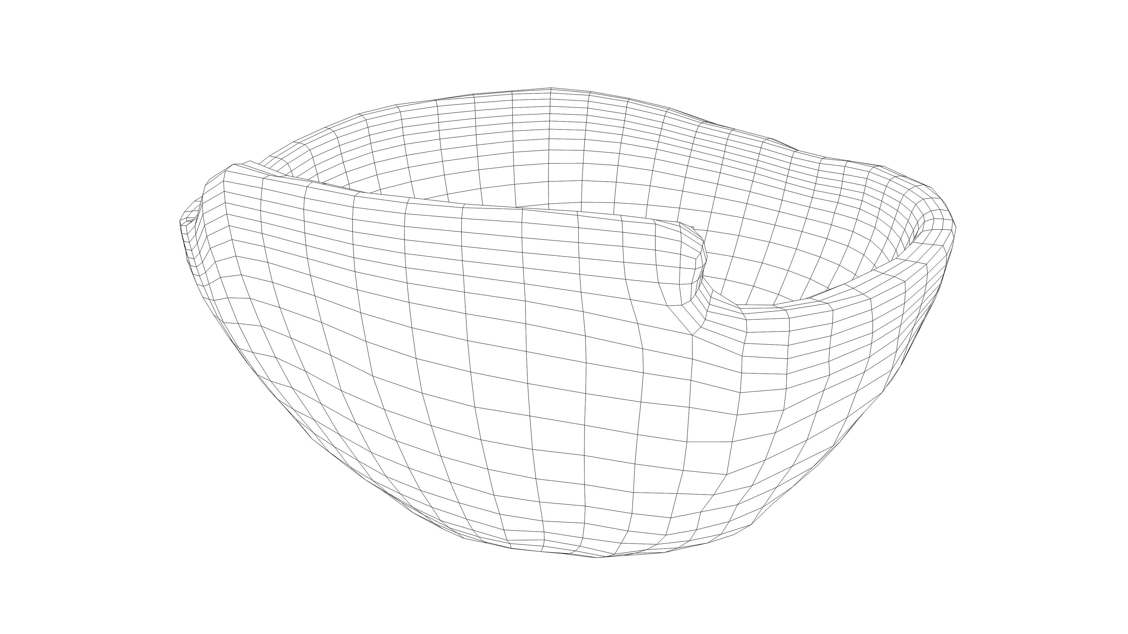 Photorealistic 3D scan of Coconut skin Low-poly 3D model_15