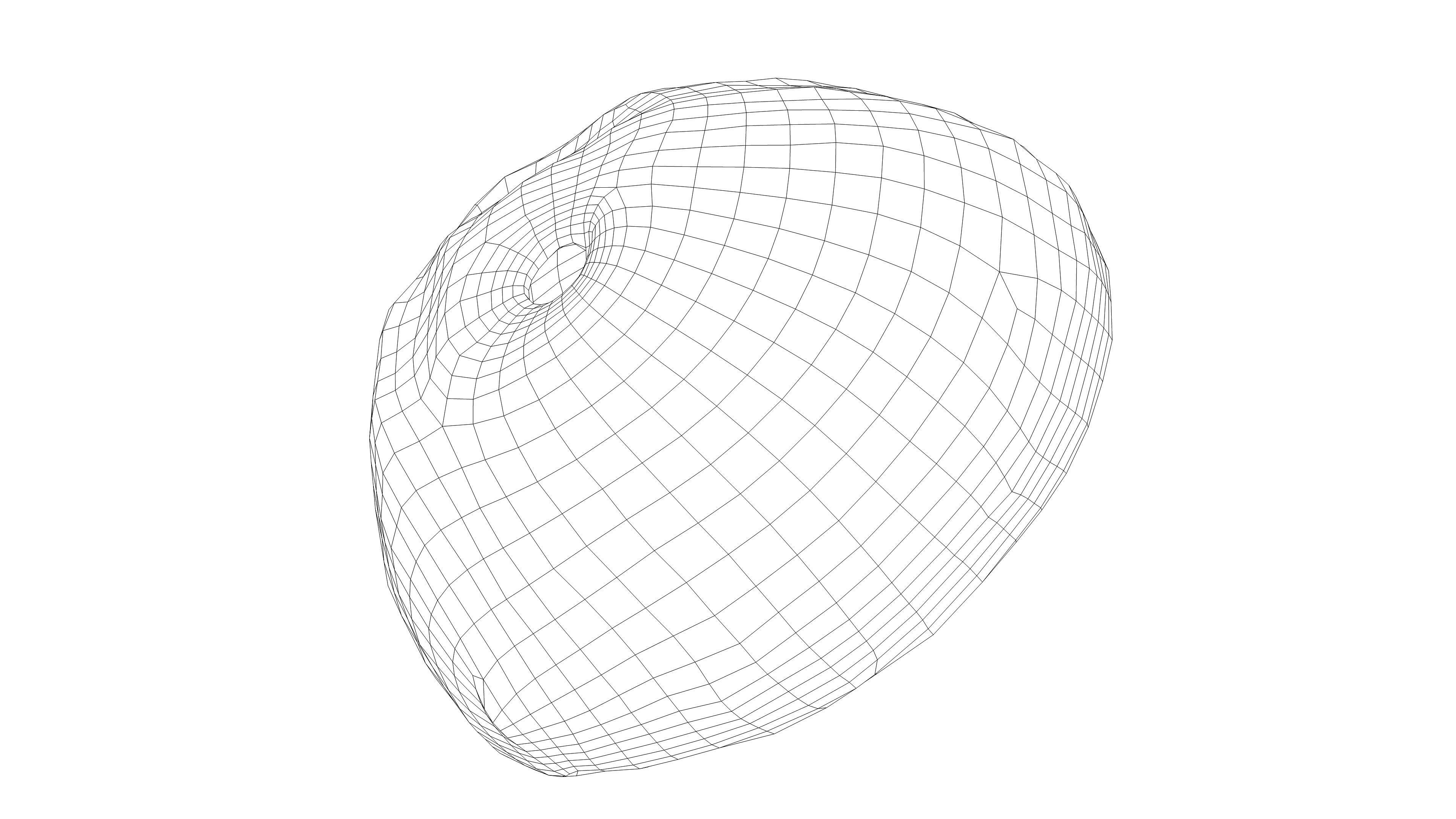 Photorealistic 3D scan of Coconut skin Low-poly 3D model_18