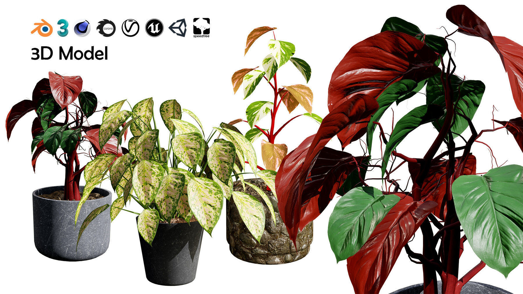 Potted Plant 3D Assets Collection Low-poly 3D model_26