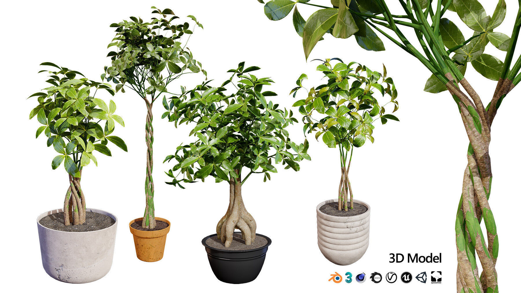 Potted Plant 3D Assets Collection Low-poly 3D model_32