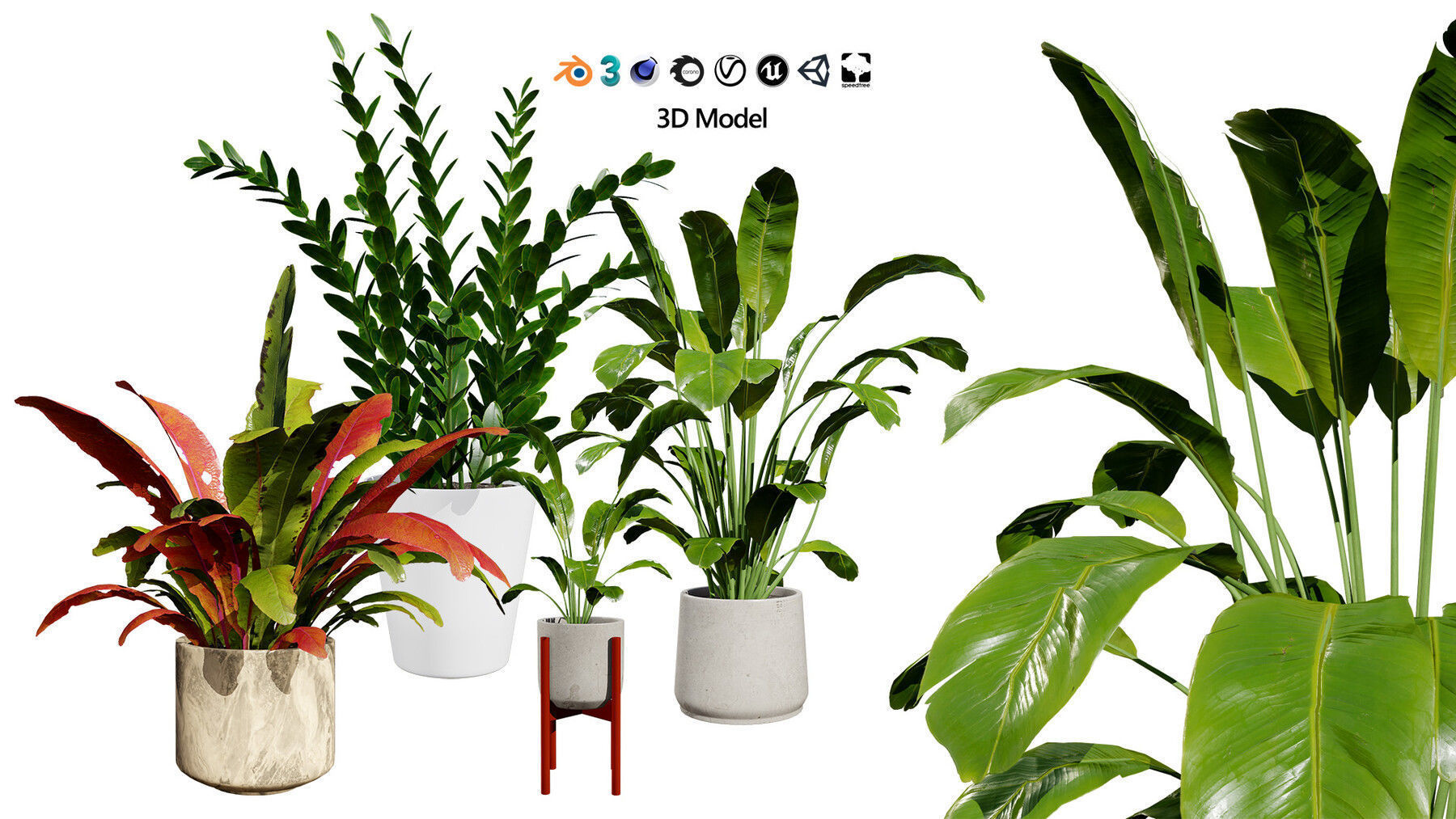 Potted Plant 3D Assets Collection Low-poly 3D model_31